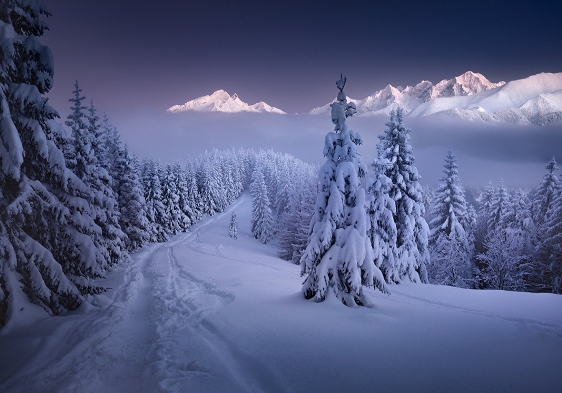 Winter Forest Mountain Path