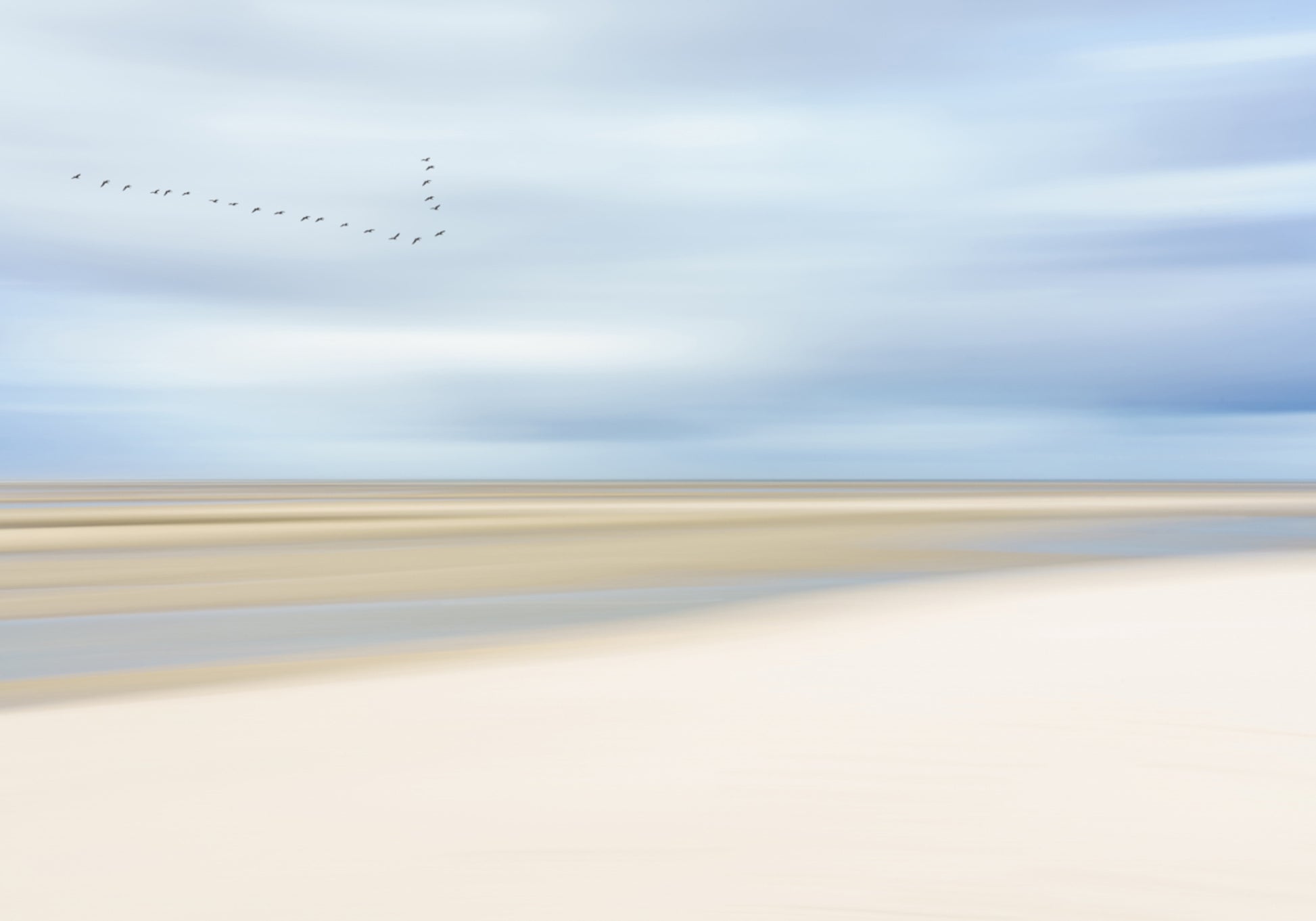 Birds Over Serene Shore