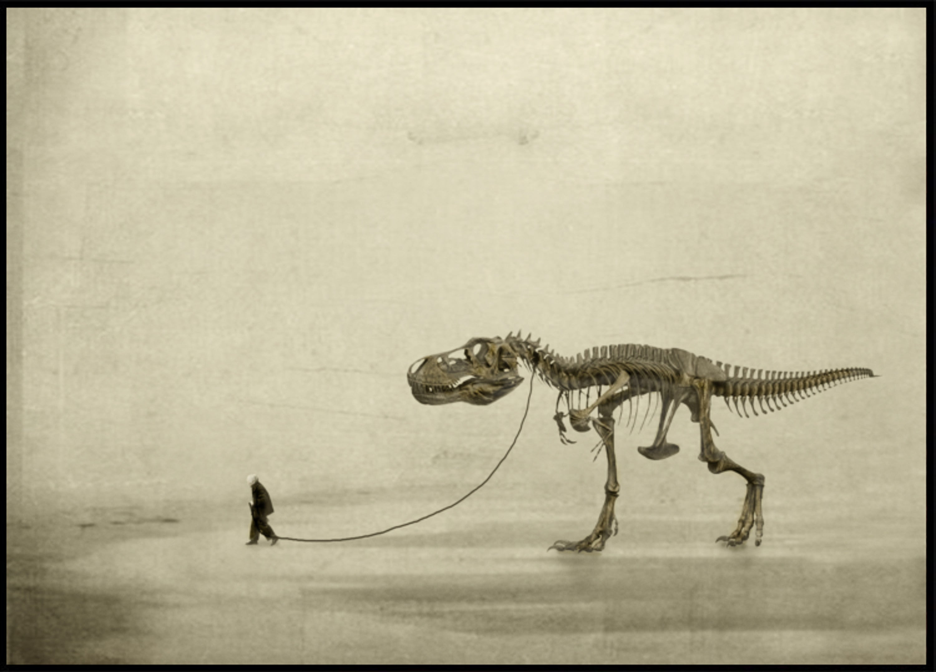 the walk