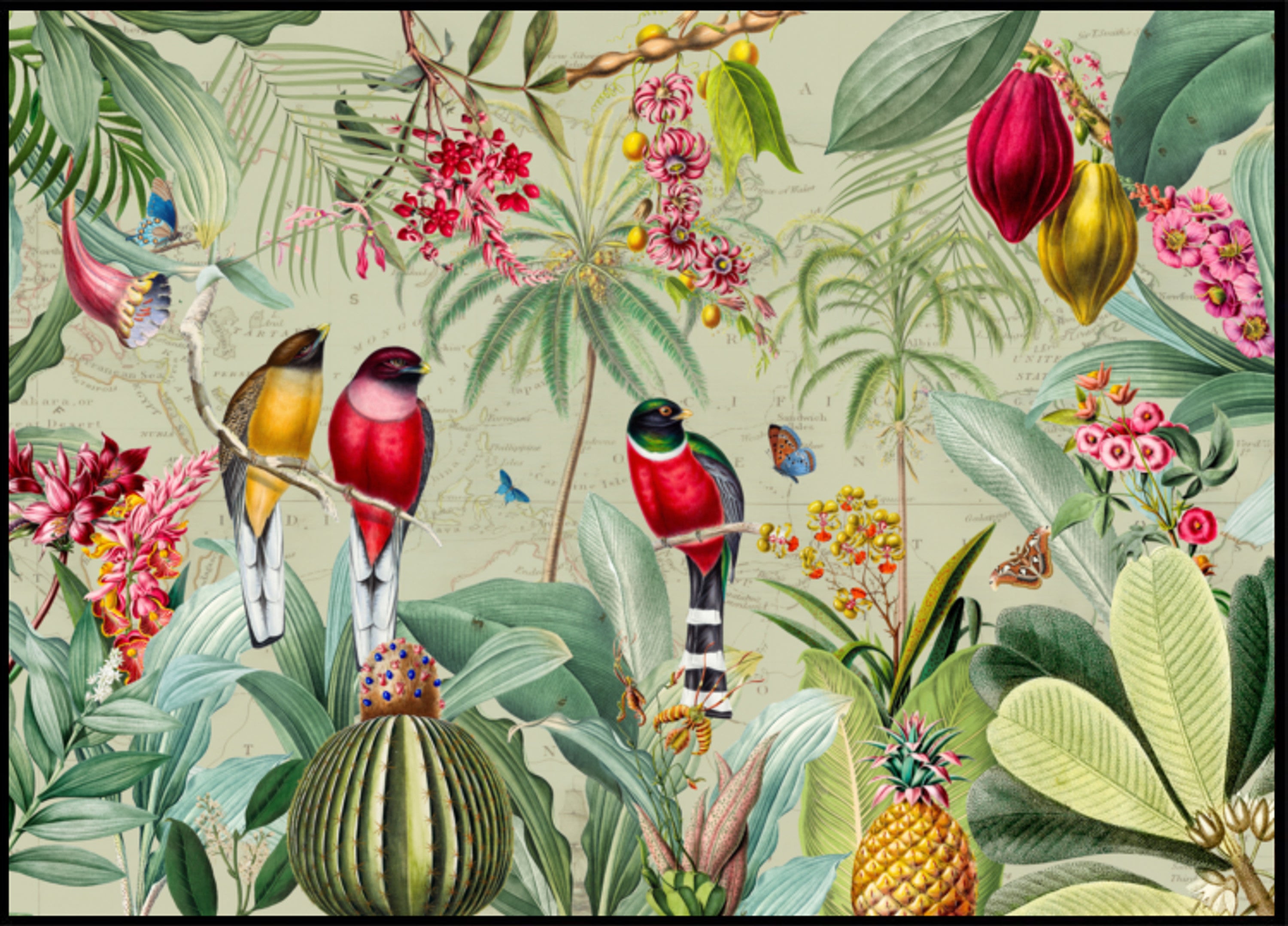 Tropical Jungle Birds