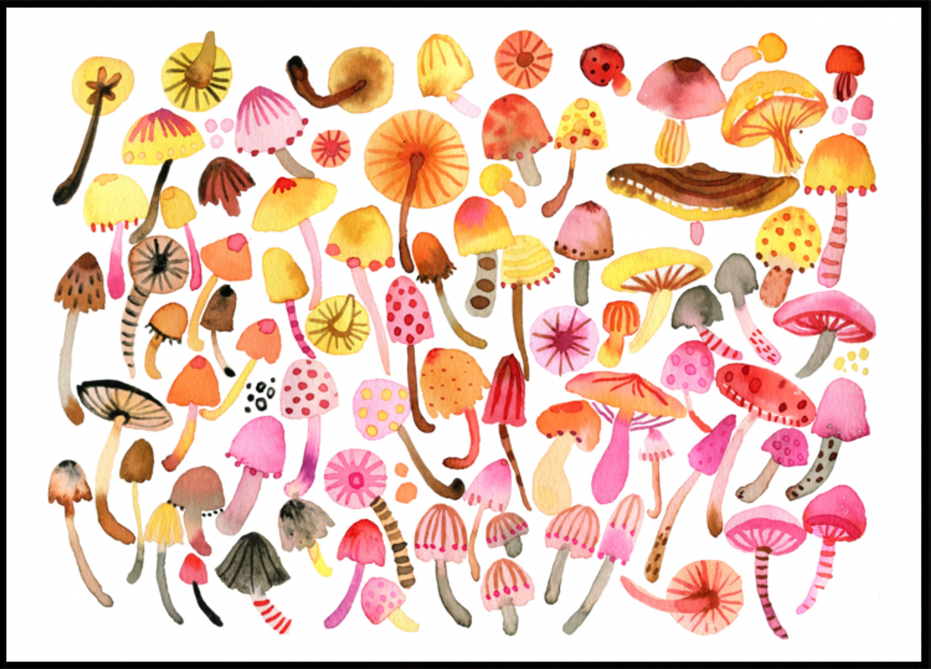 Whimsical Mushroom Collection