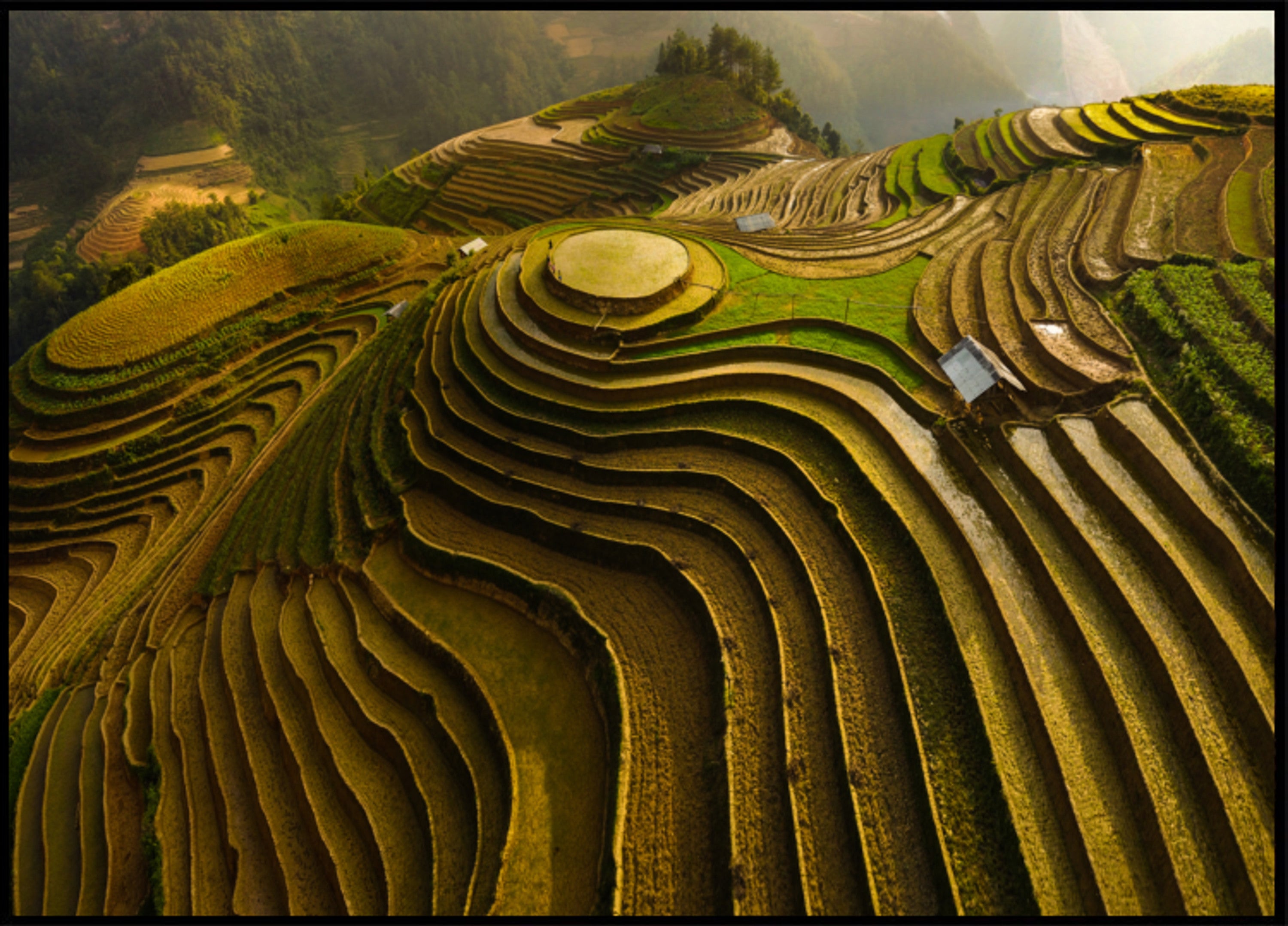 Golden Terraced Mountains