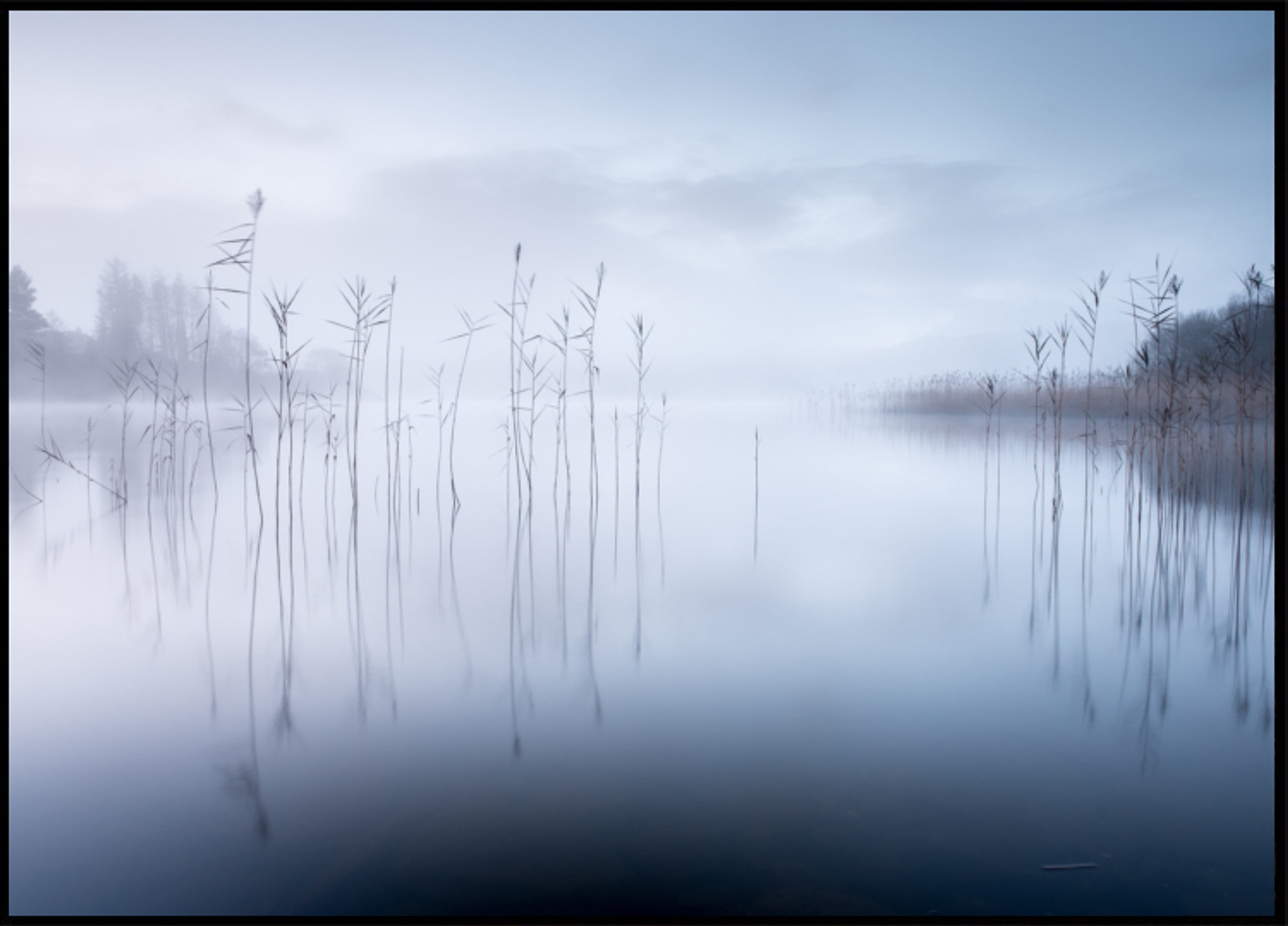 Tranquil Misty Morning