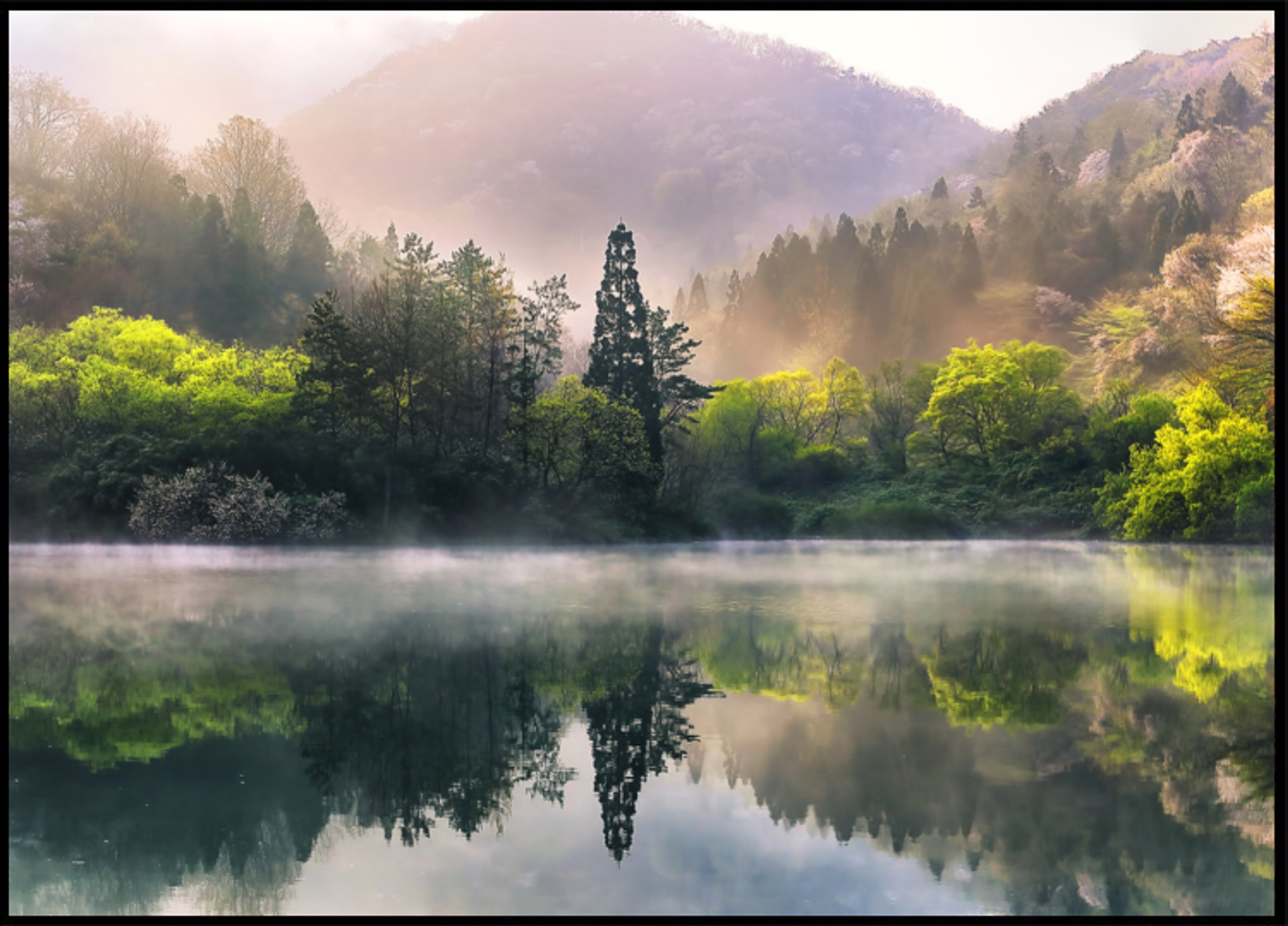 Misty Spring Lake Reflection