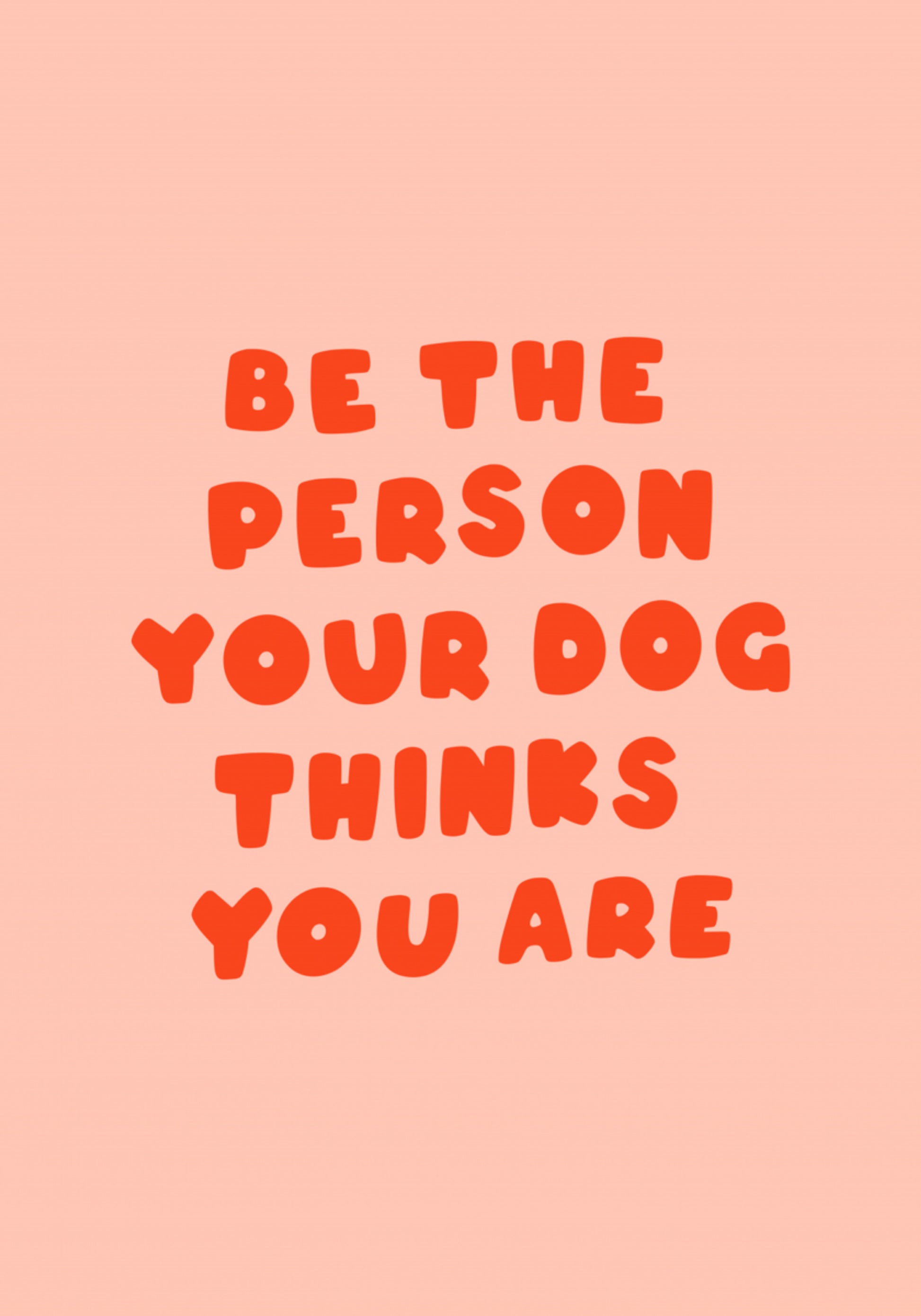 Dog's Favorite Person