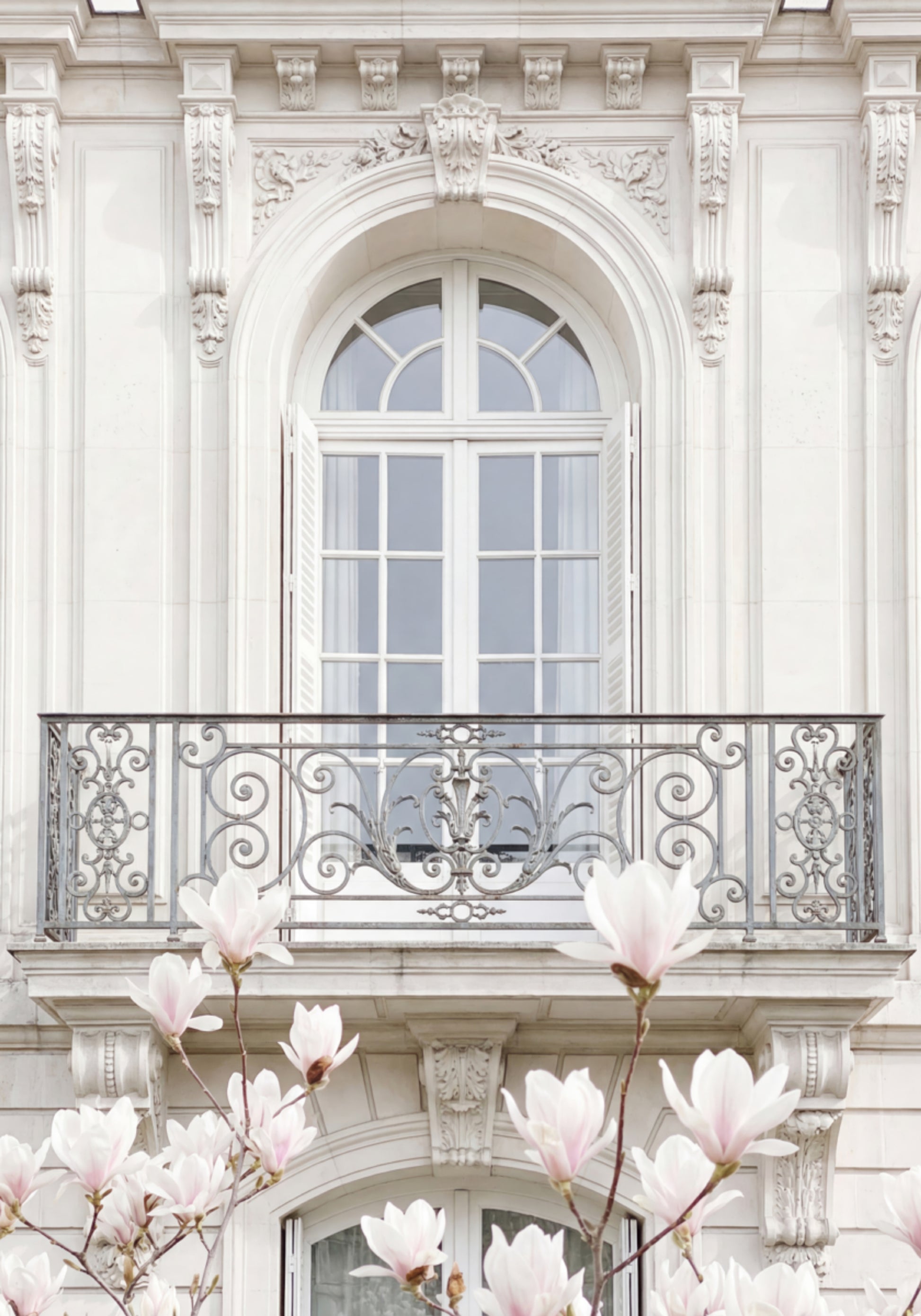 White Facade Magnolias