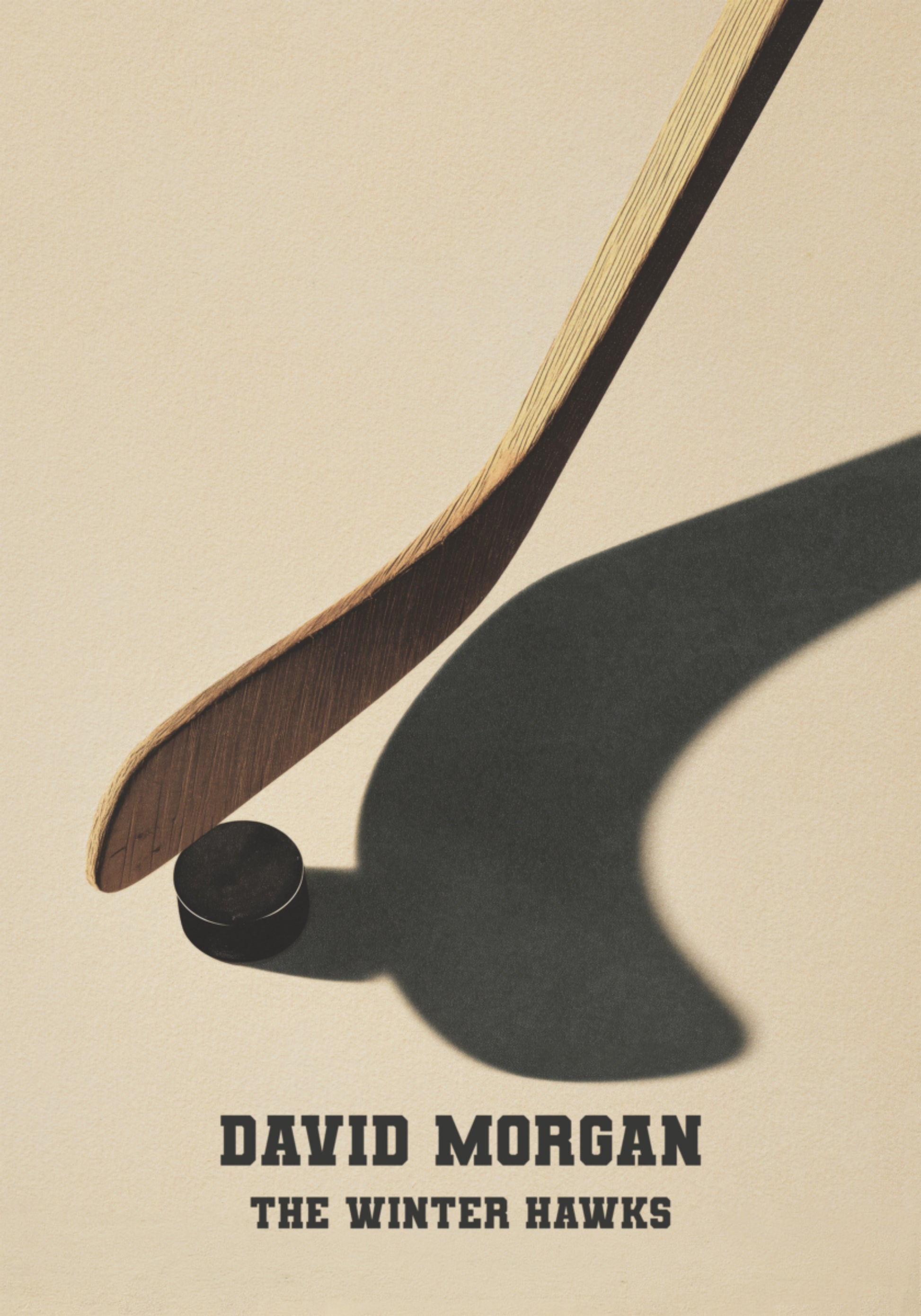 Vintage ishockeyklubba och puck skuggposter