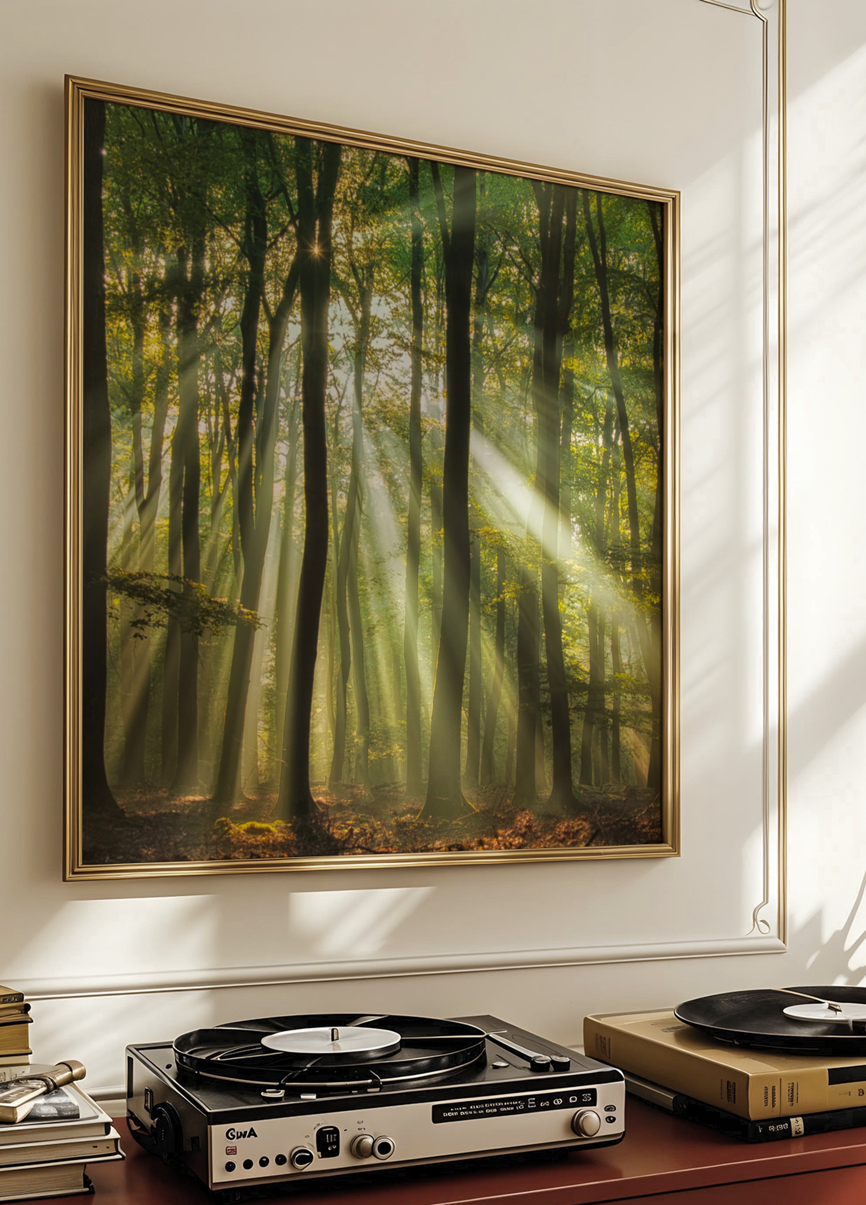 Misty Morning Sunlit Forest