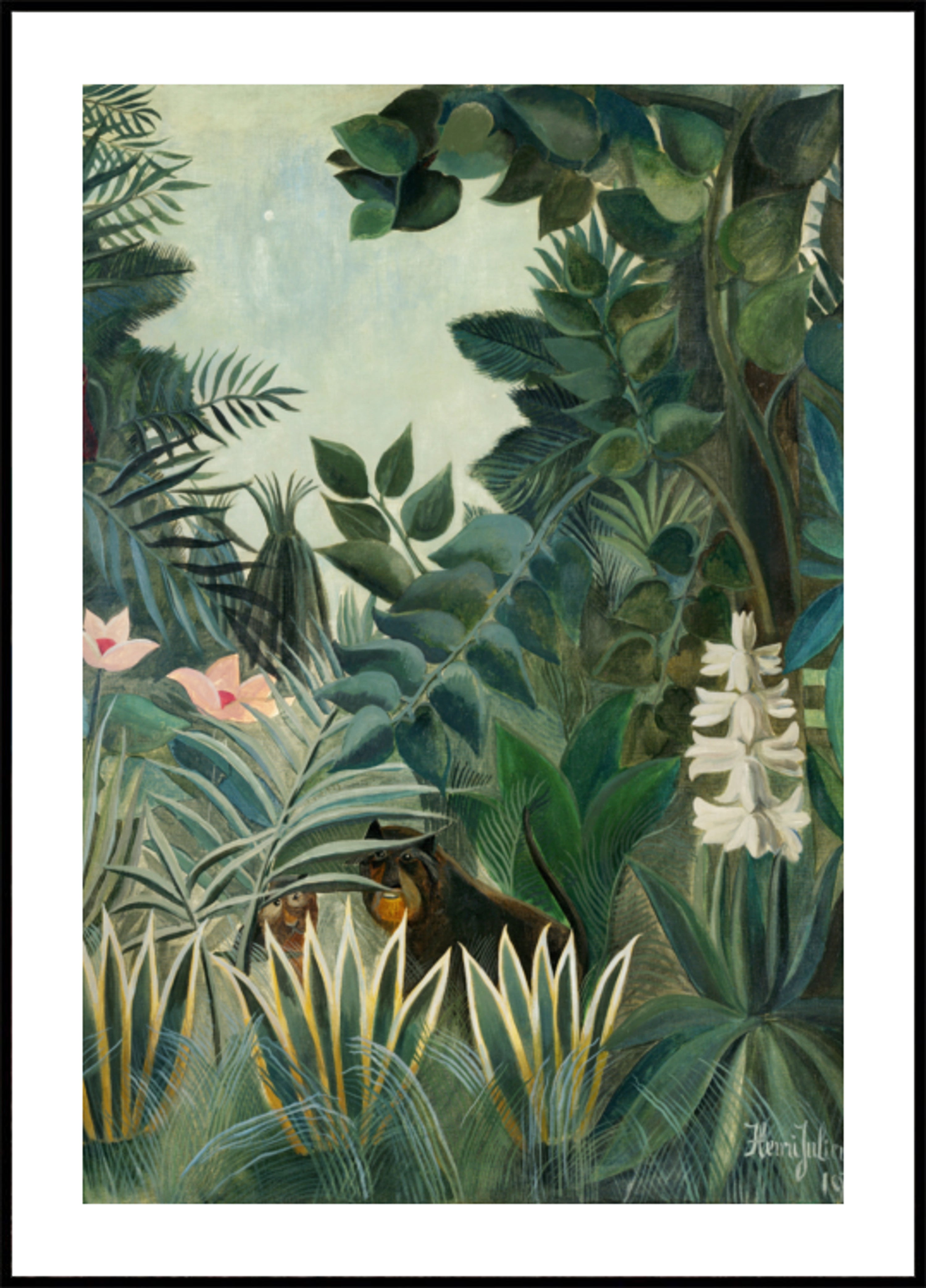 The Equatorial Jungle