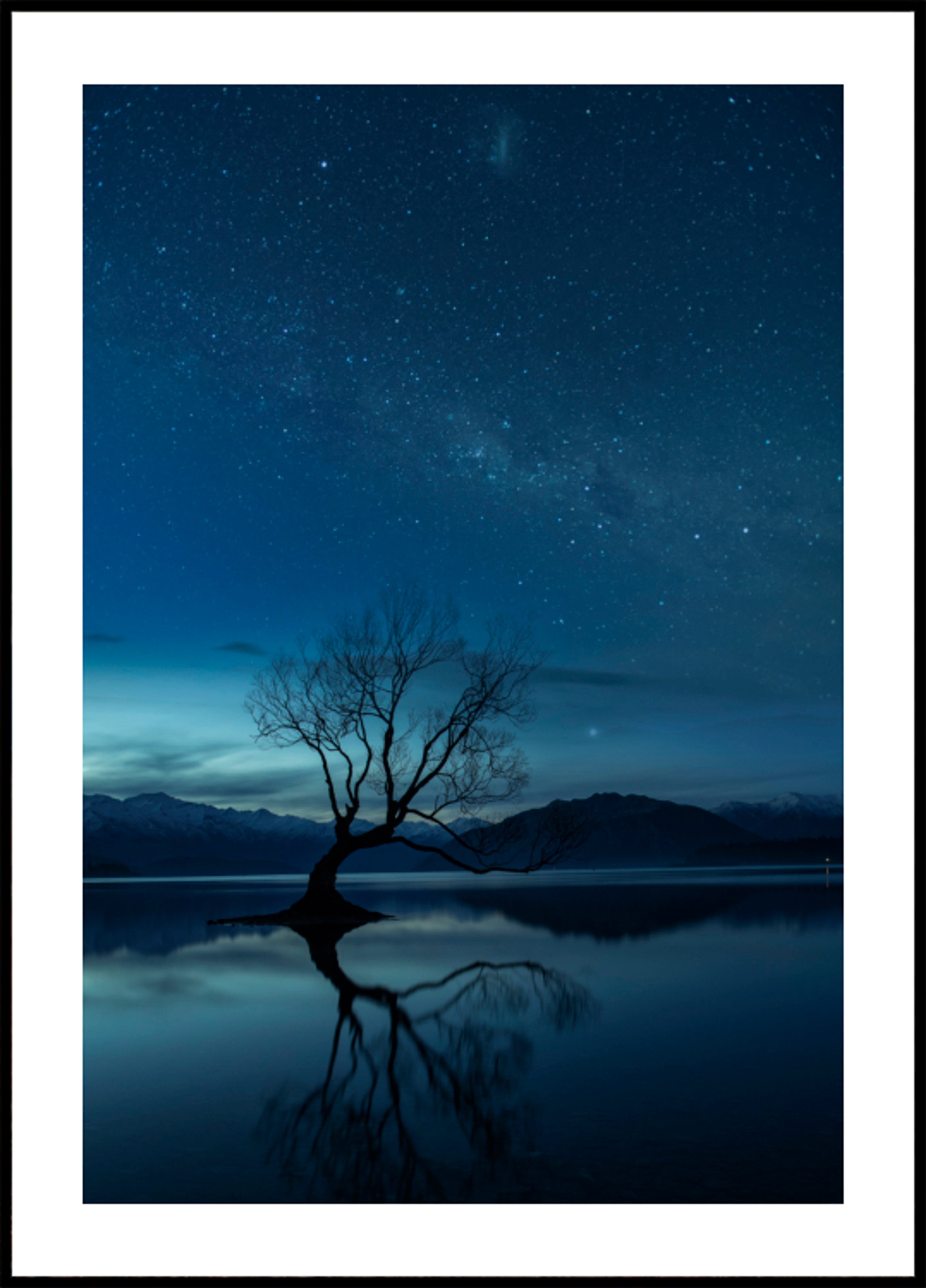 Lone Tree Starry Night