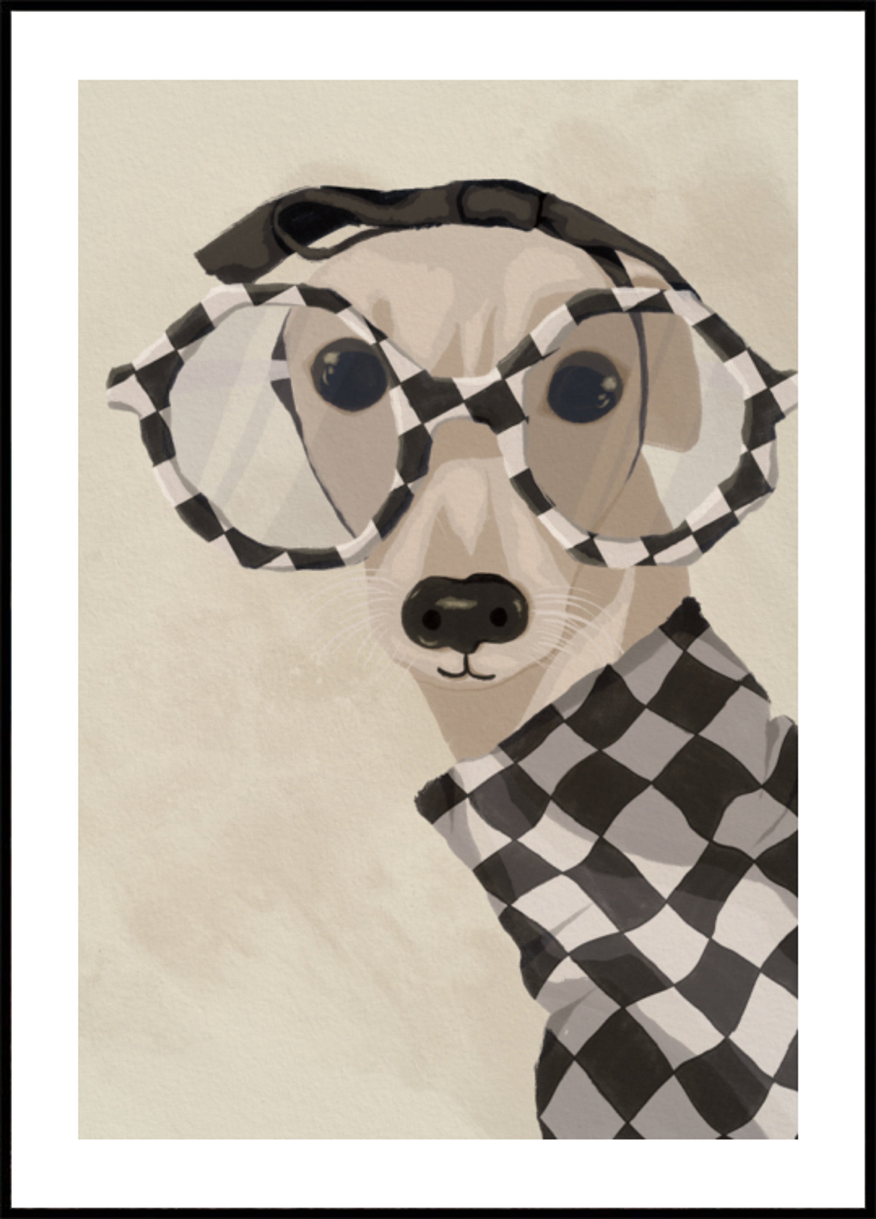 Chic Greyhound In Glasses