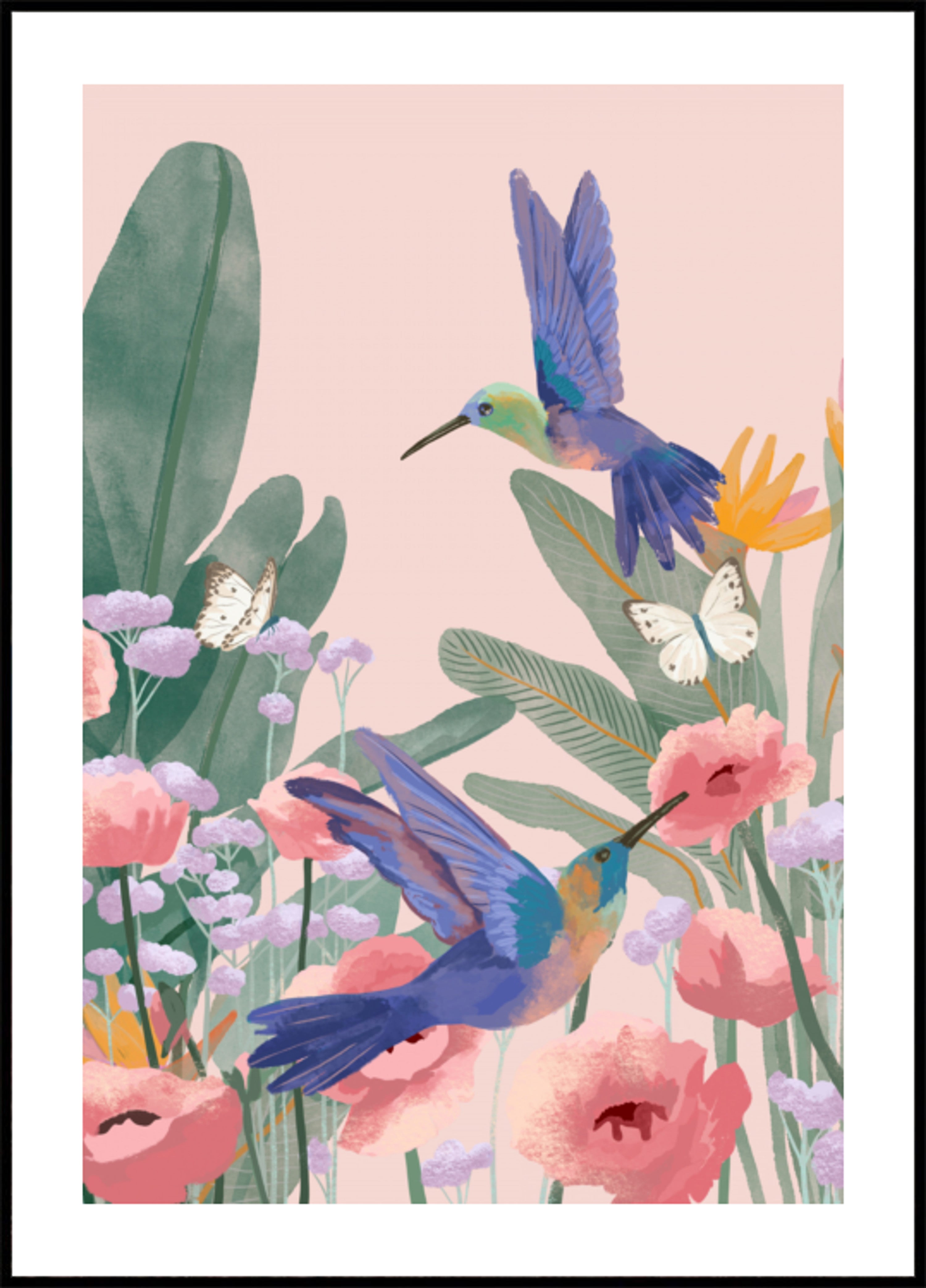 Hummingbirds