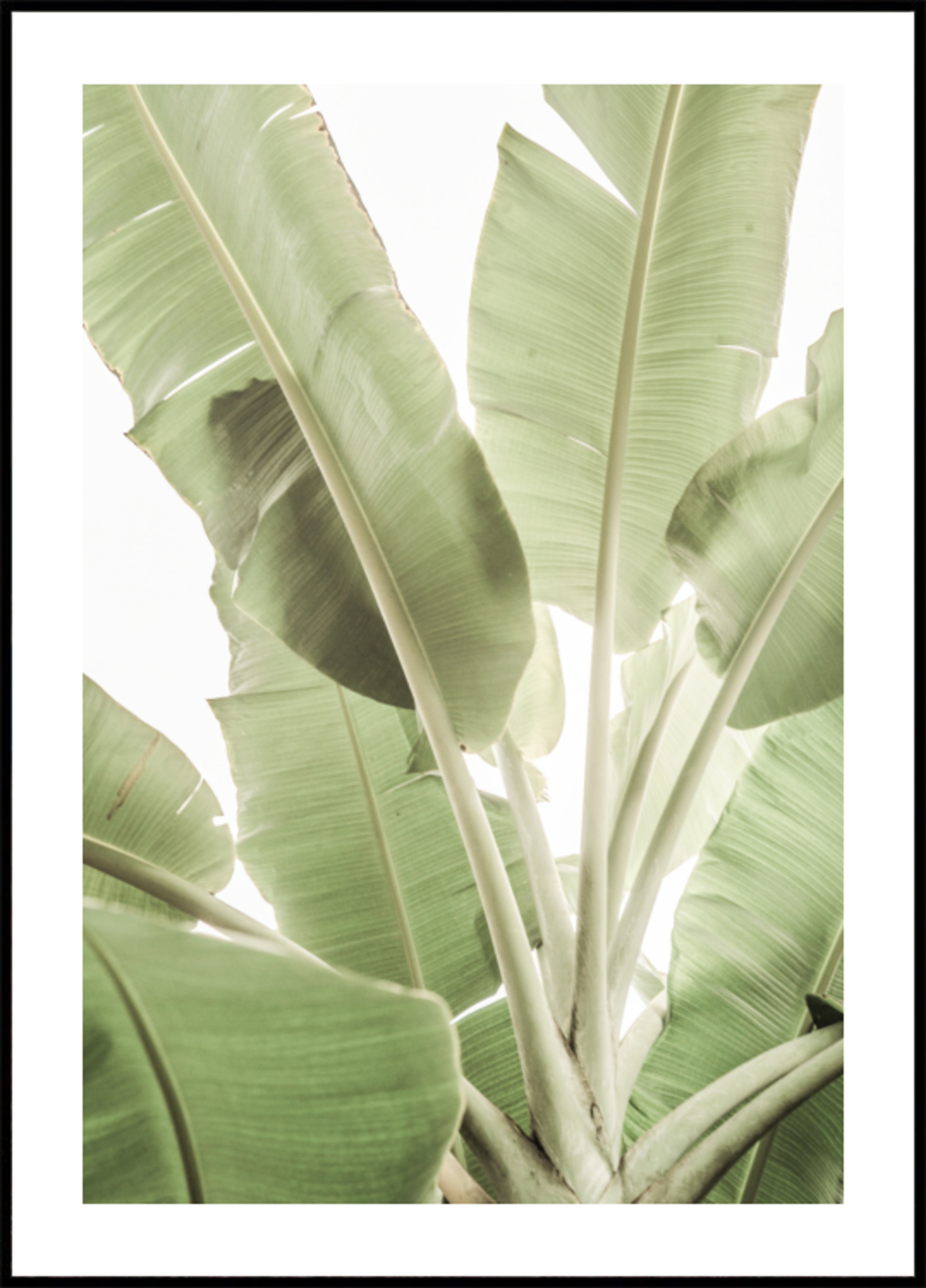 Verdant Leafscape
