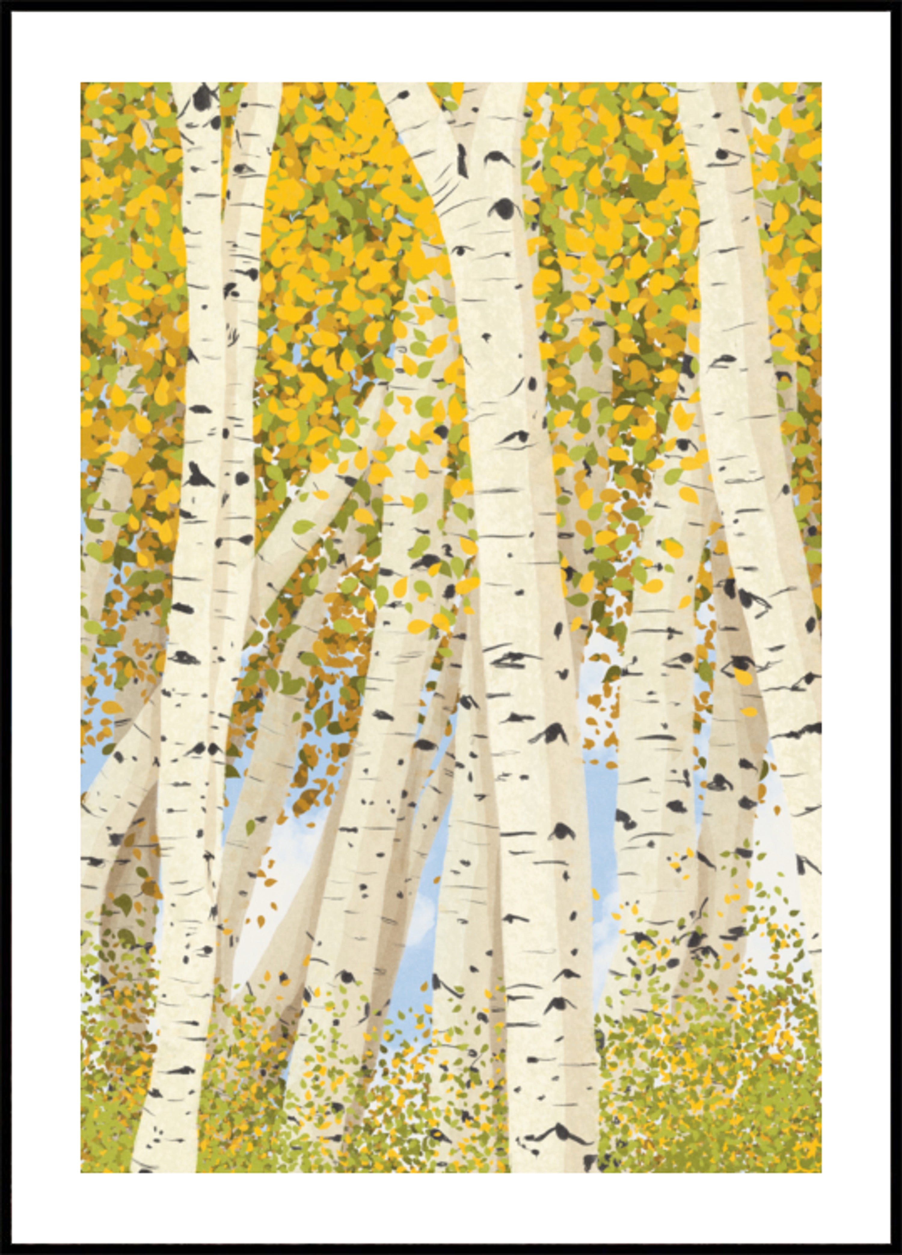 Birch Trees in Autumn