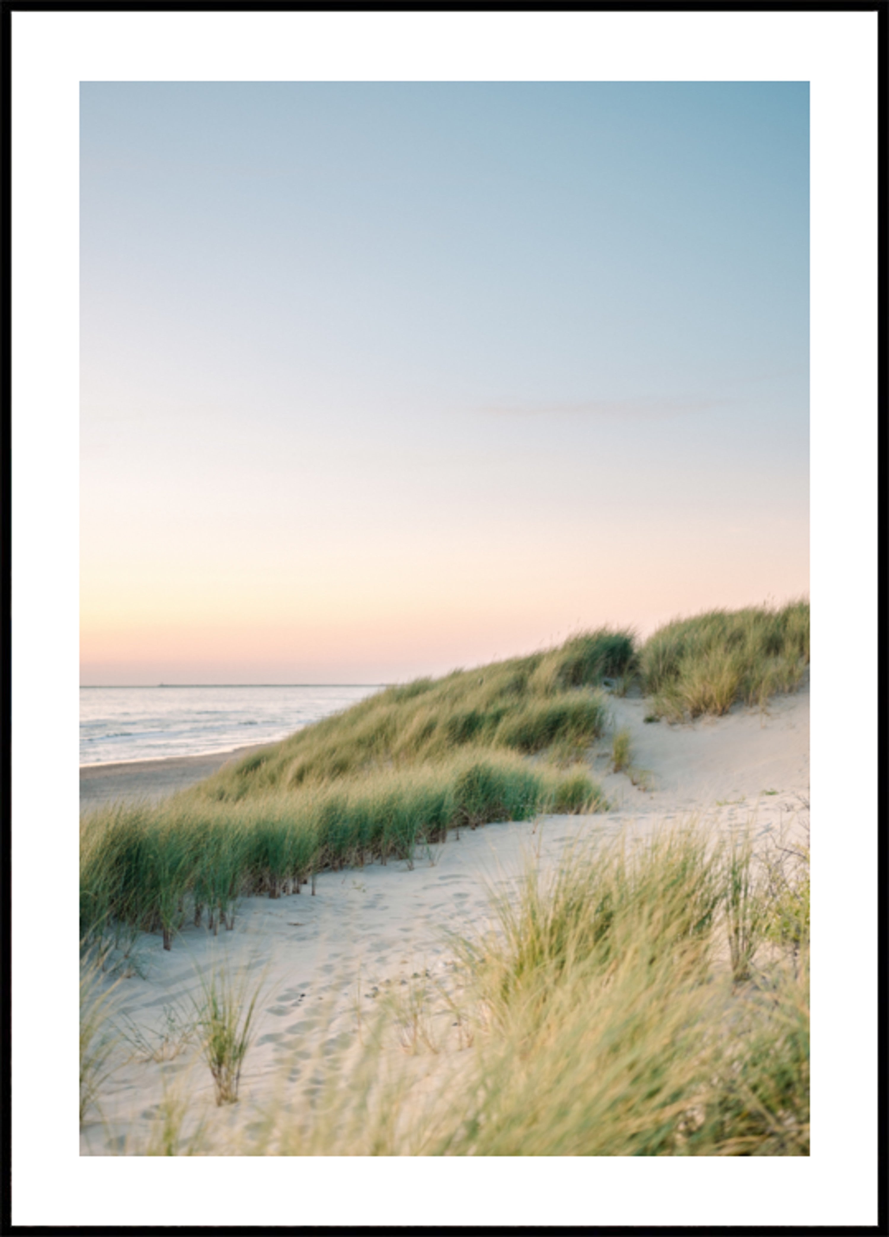 Dutch Dunes