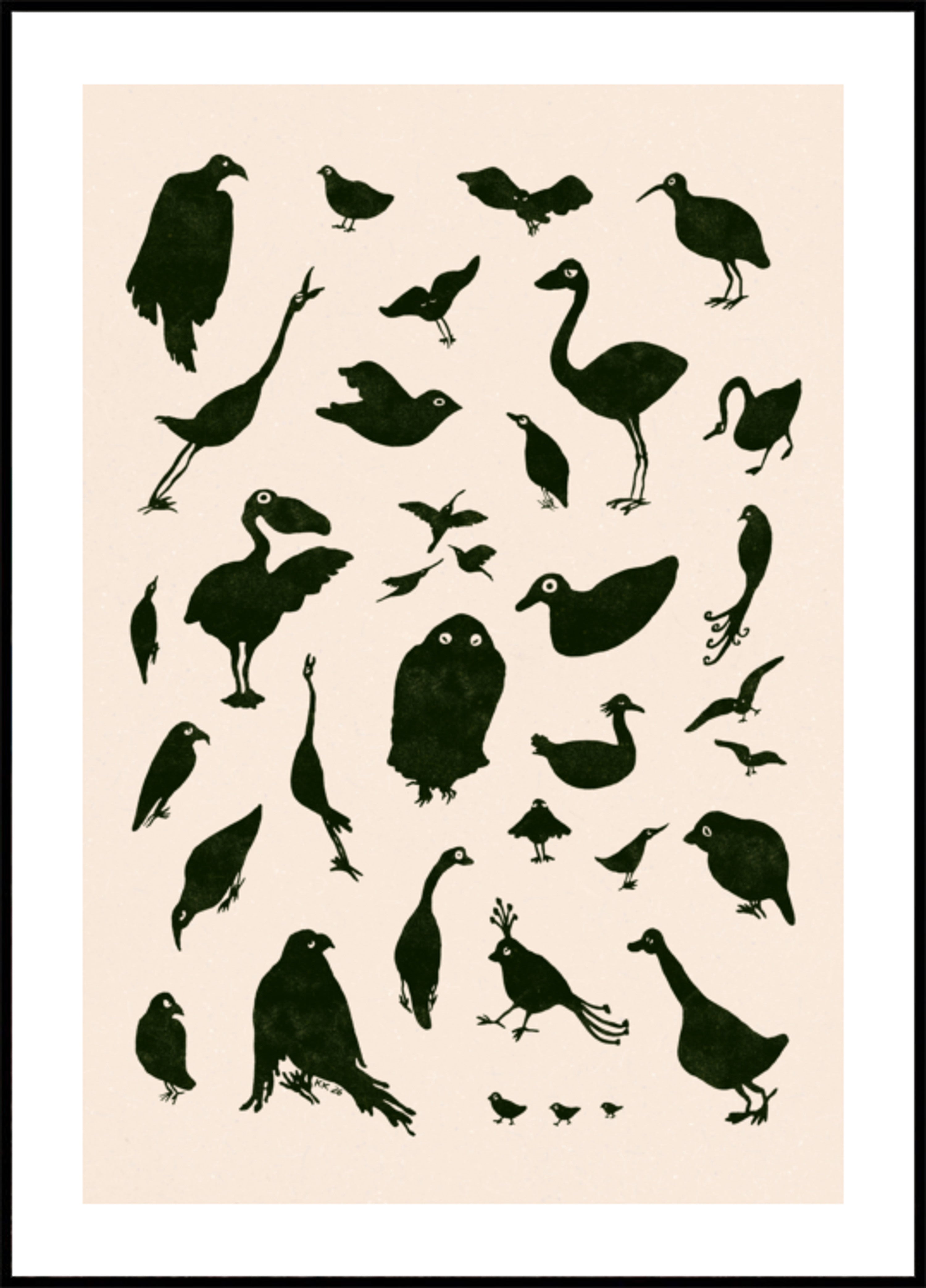Diverse Bird Silhouettes