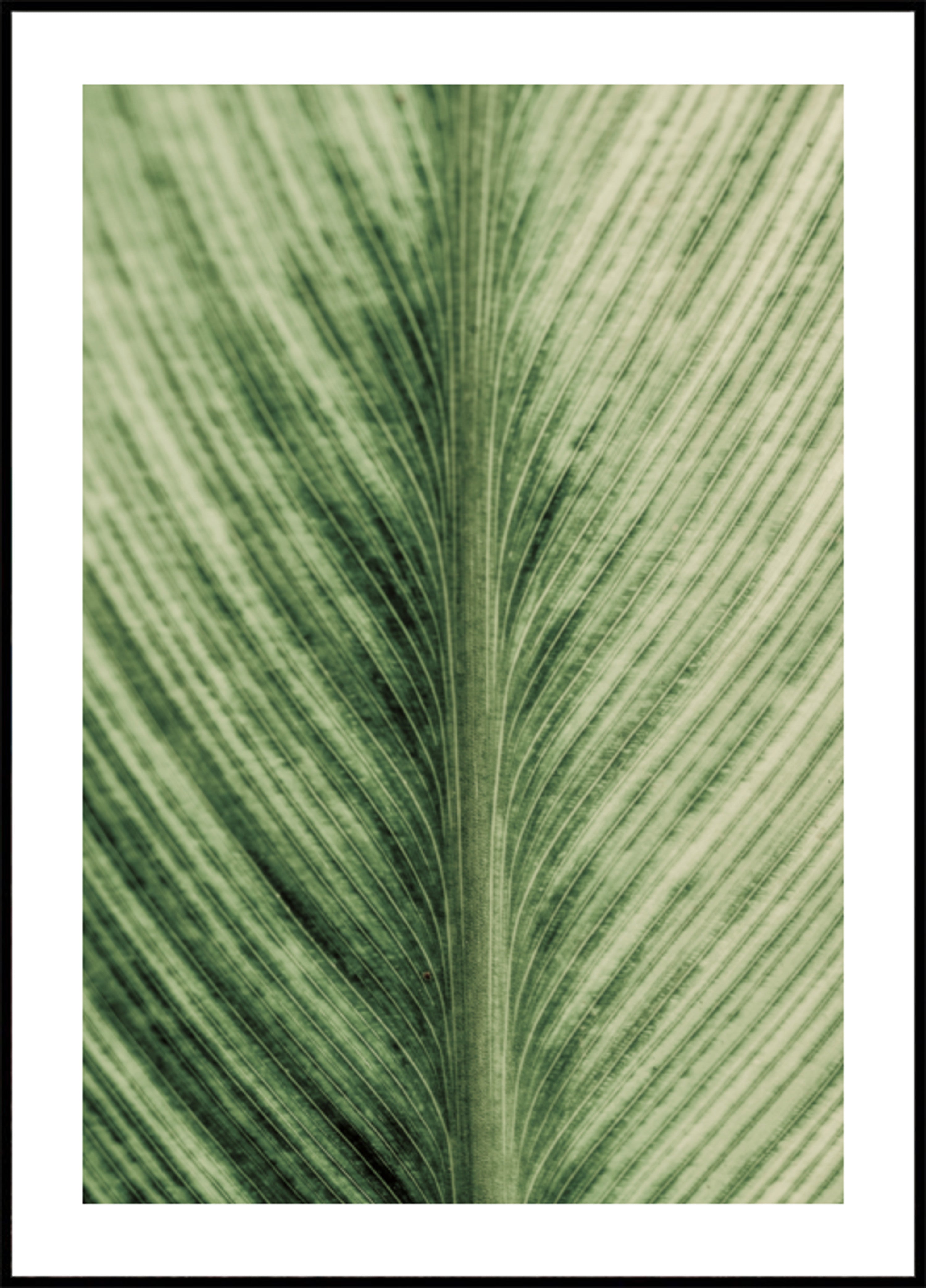 Verdant Veins