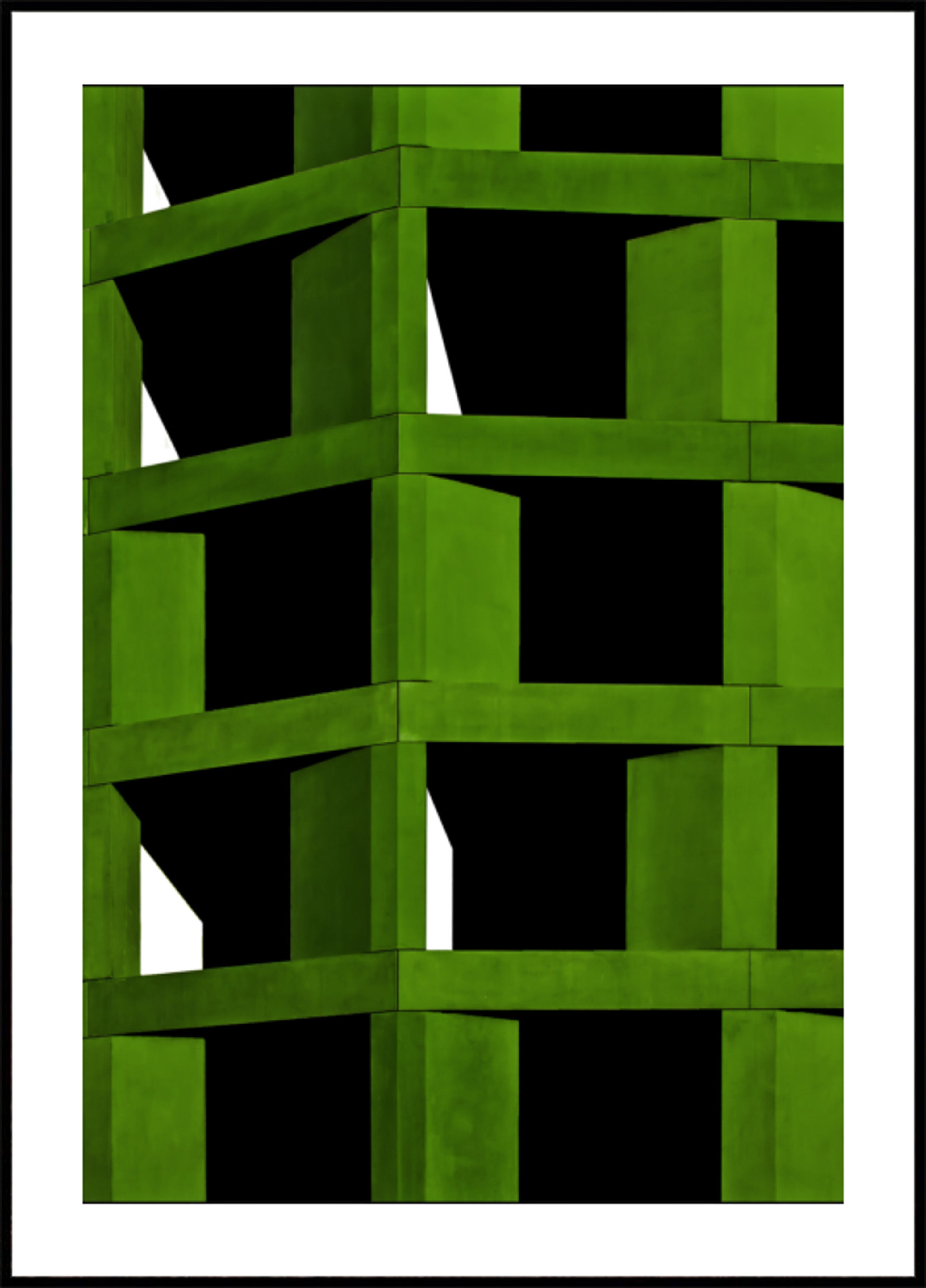 Vibrant Green Geometry