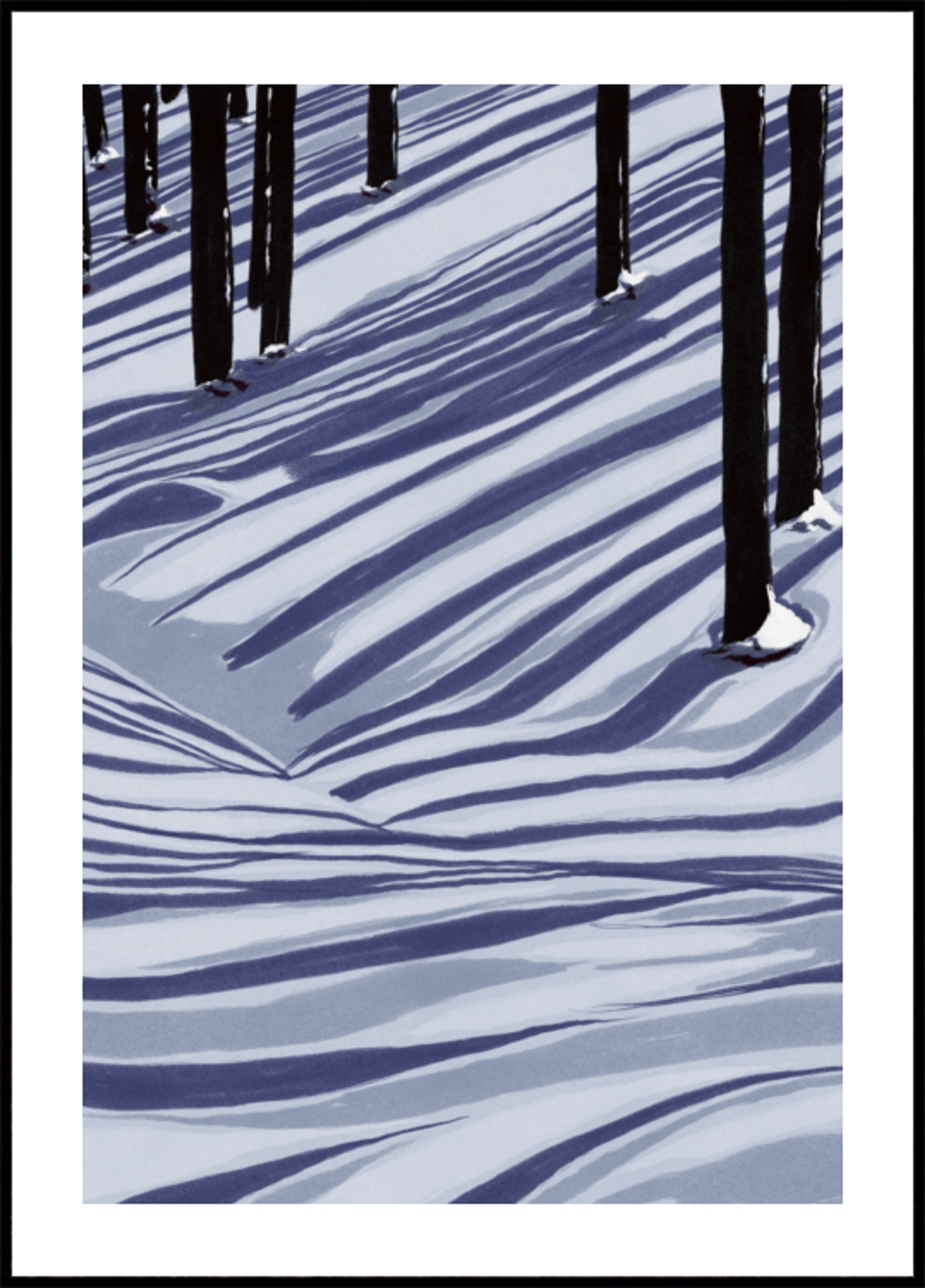 Winter Forest Shadows