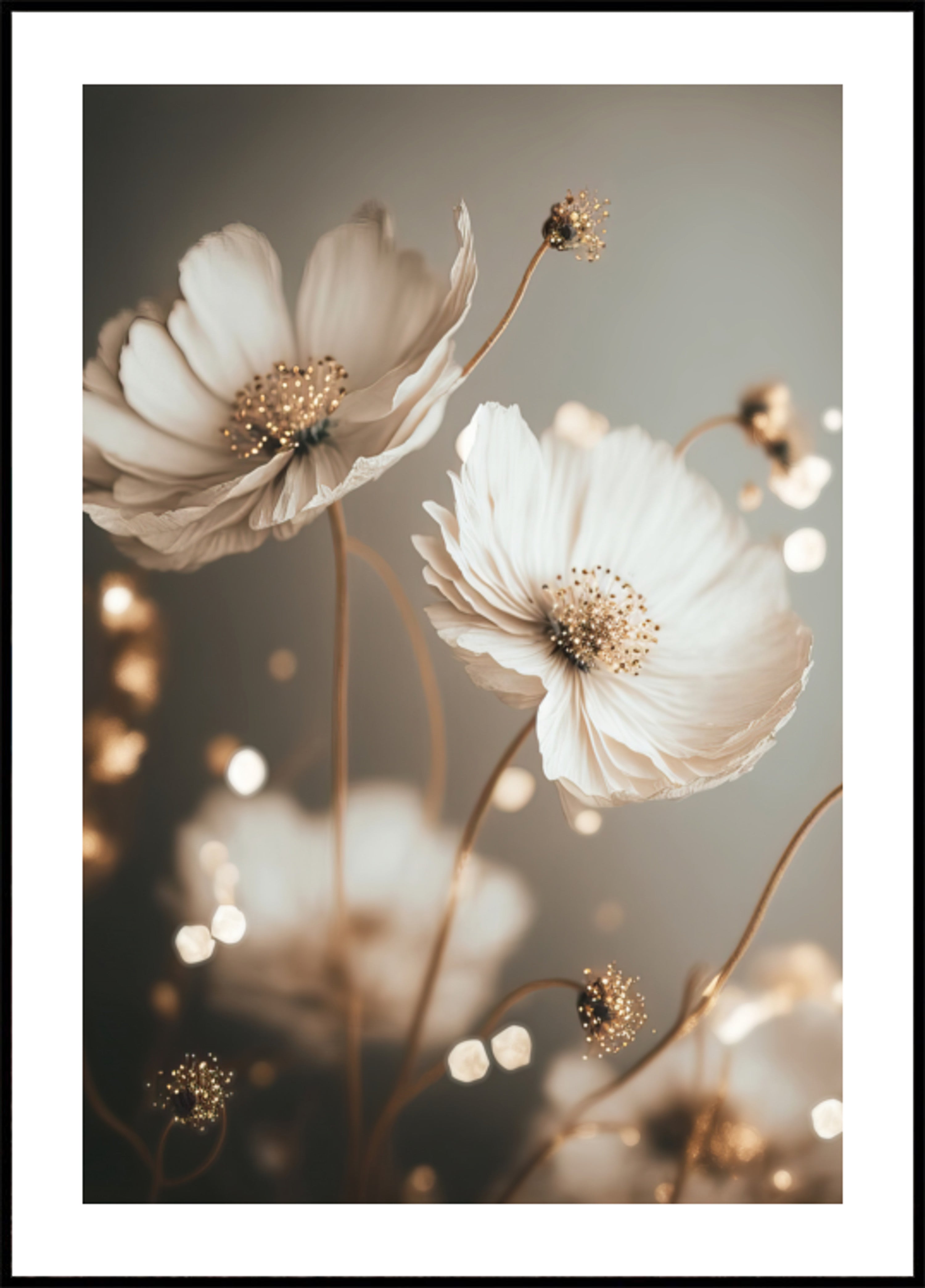 Petal Glow