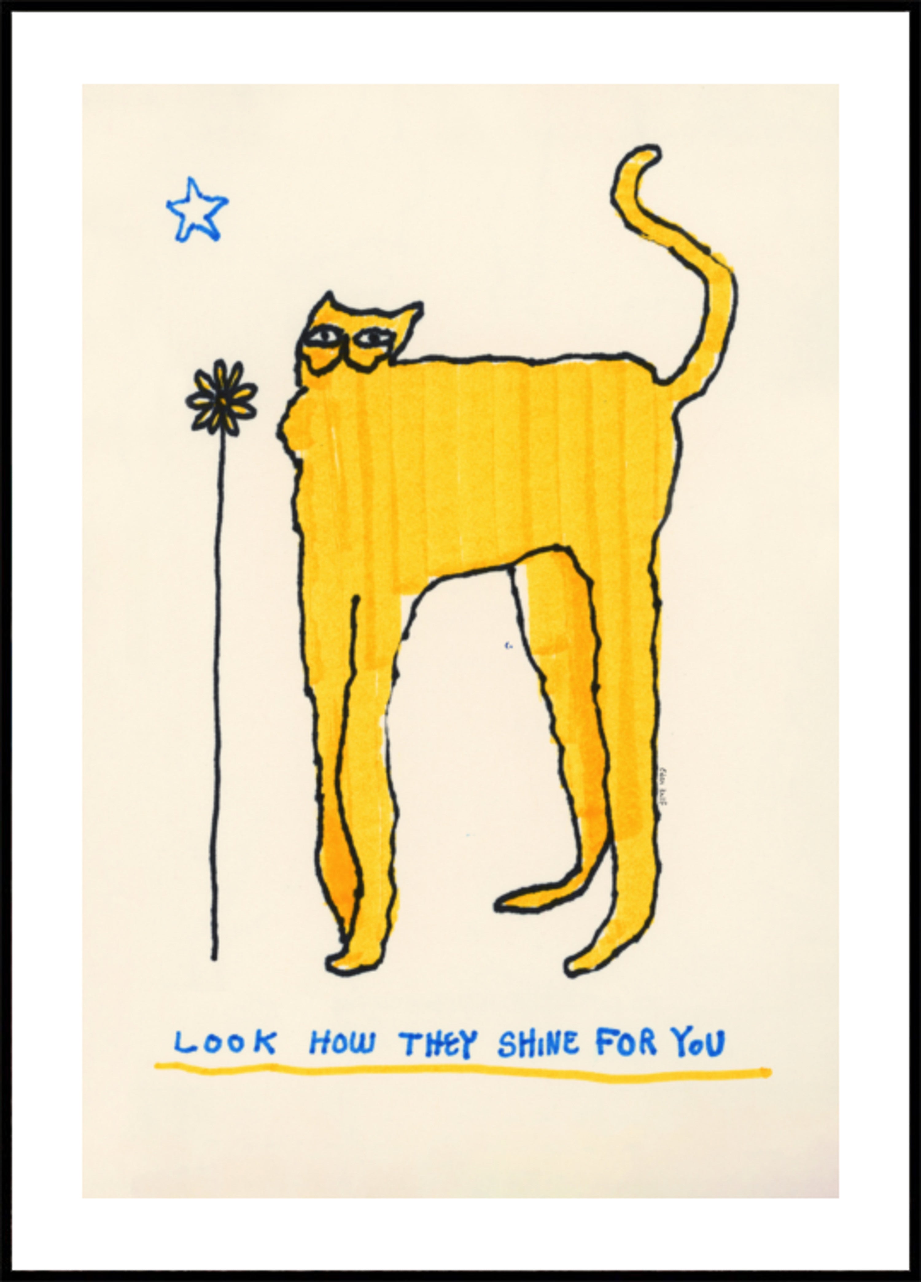 Look How They Shine for You