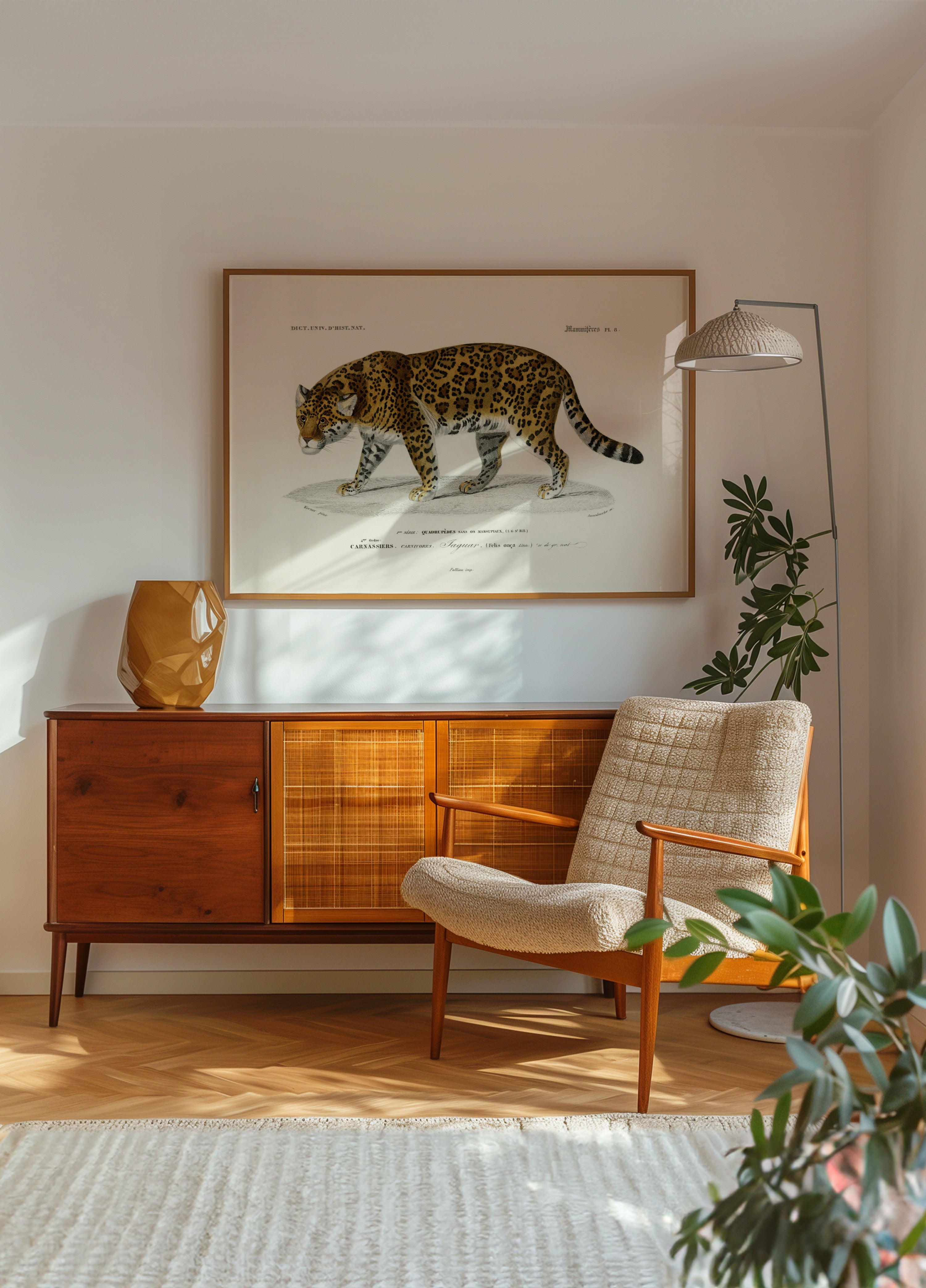 Jaguar (panthera Onca)