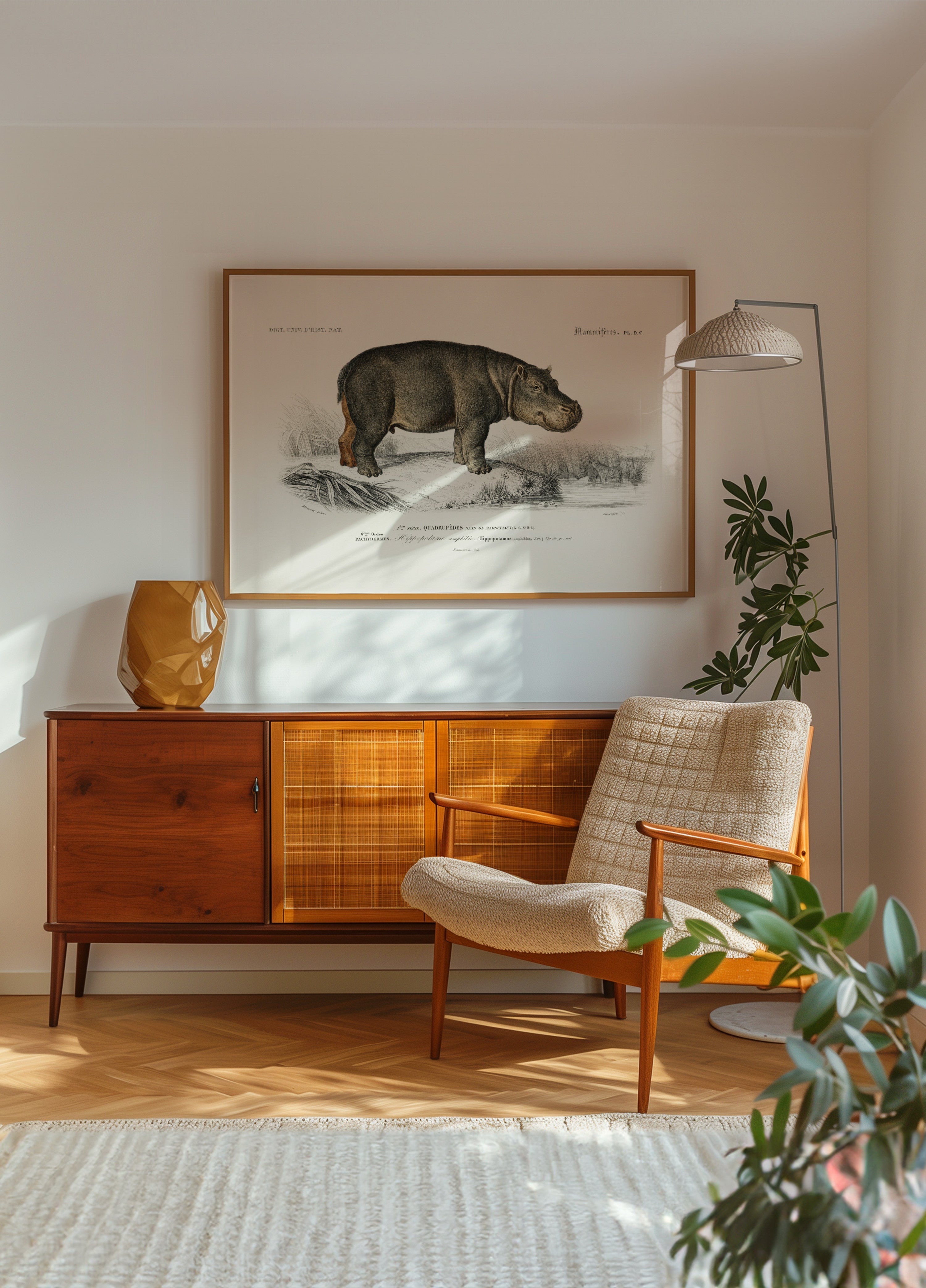 Hippopotamus