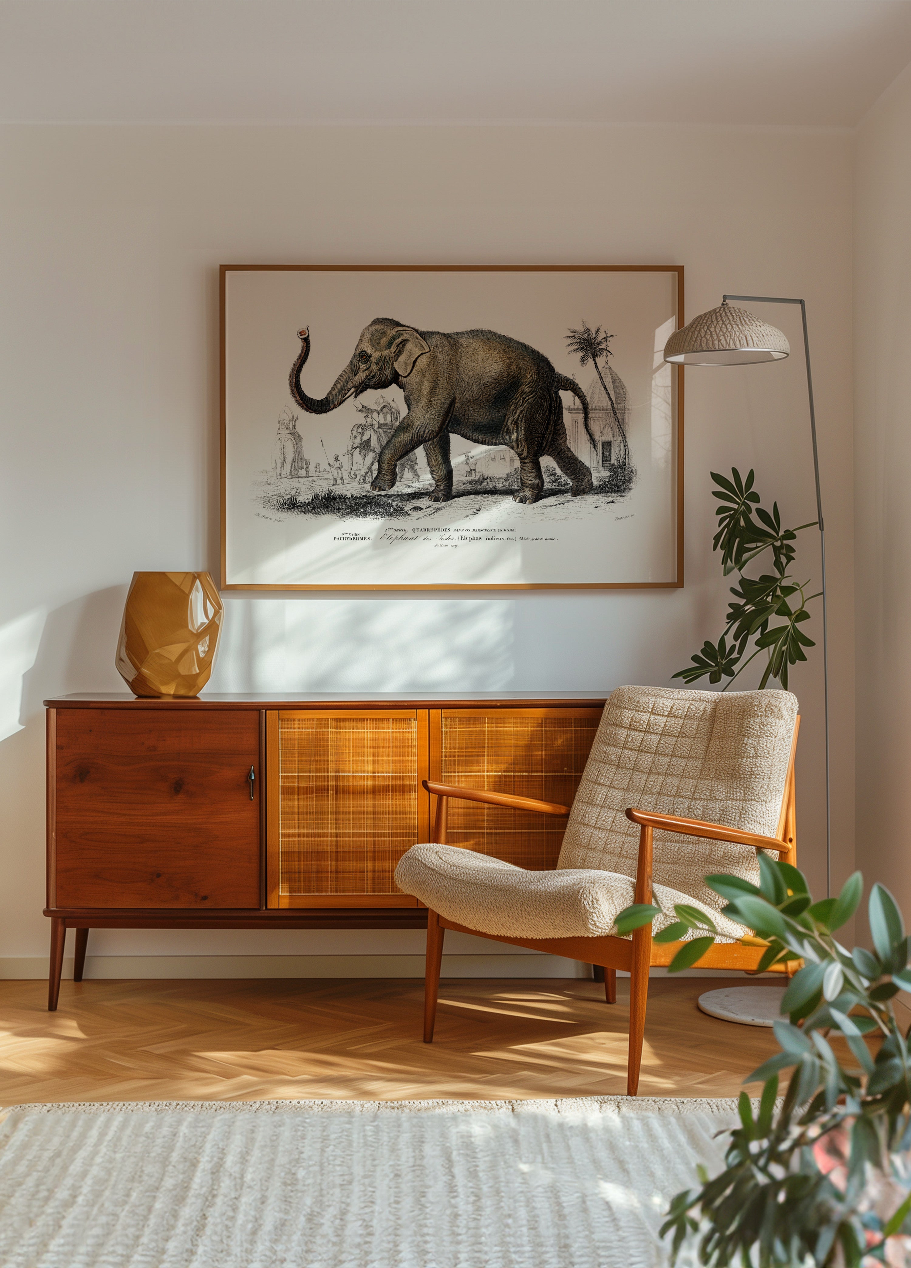 Asiatic Elephant