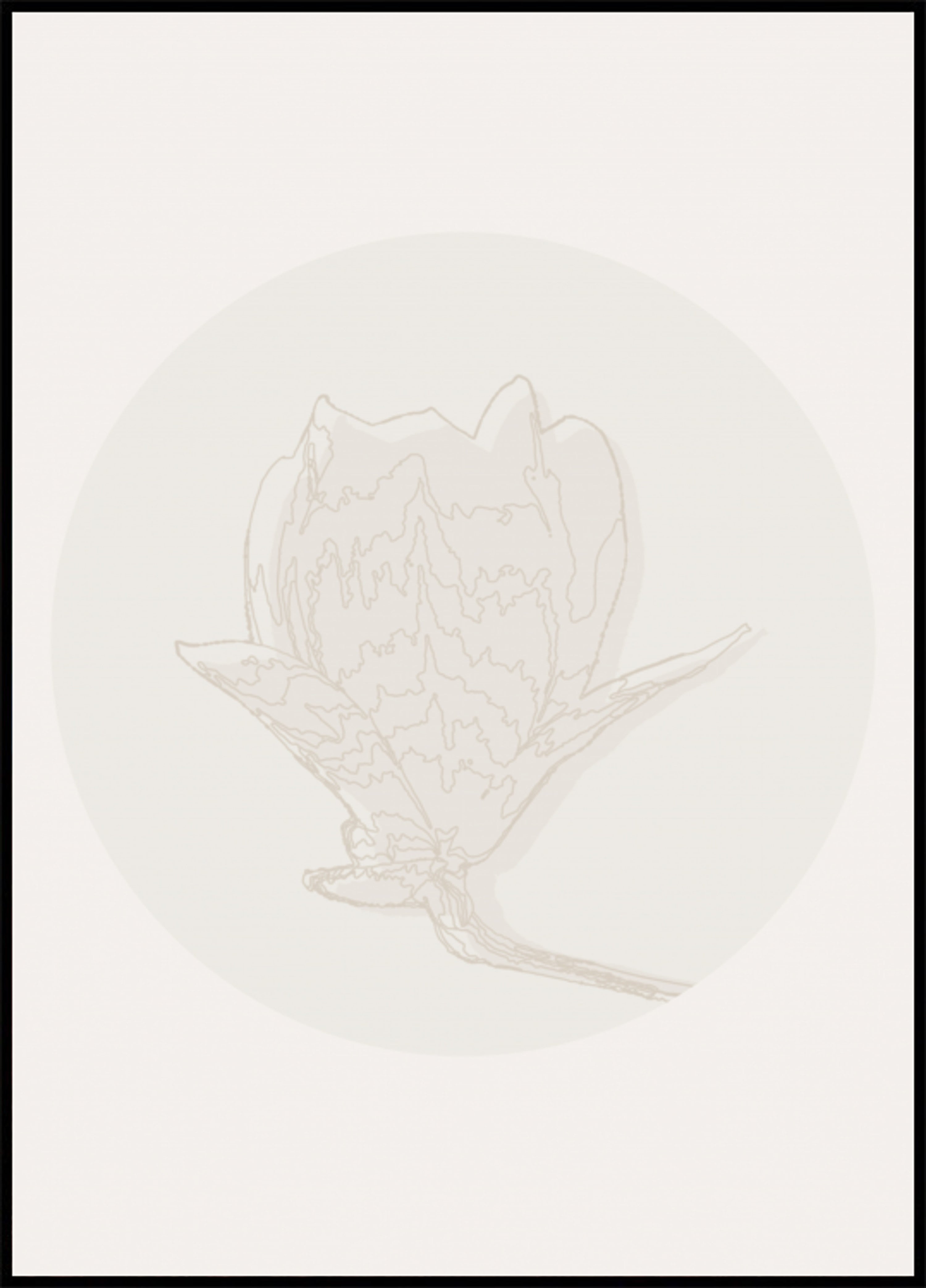 Delicate Floral Outline