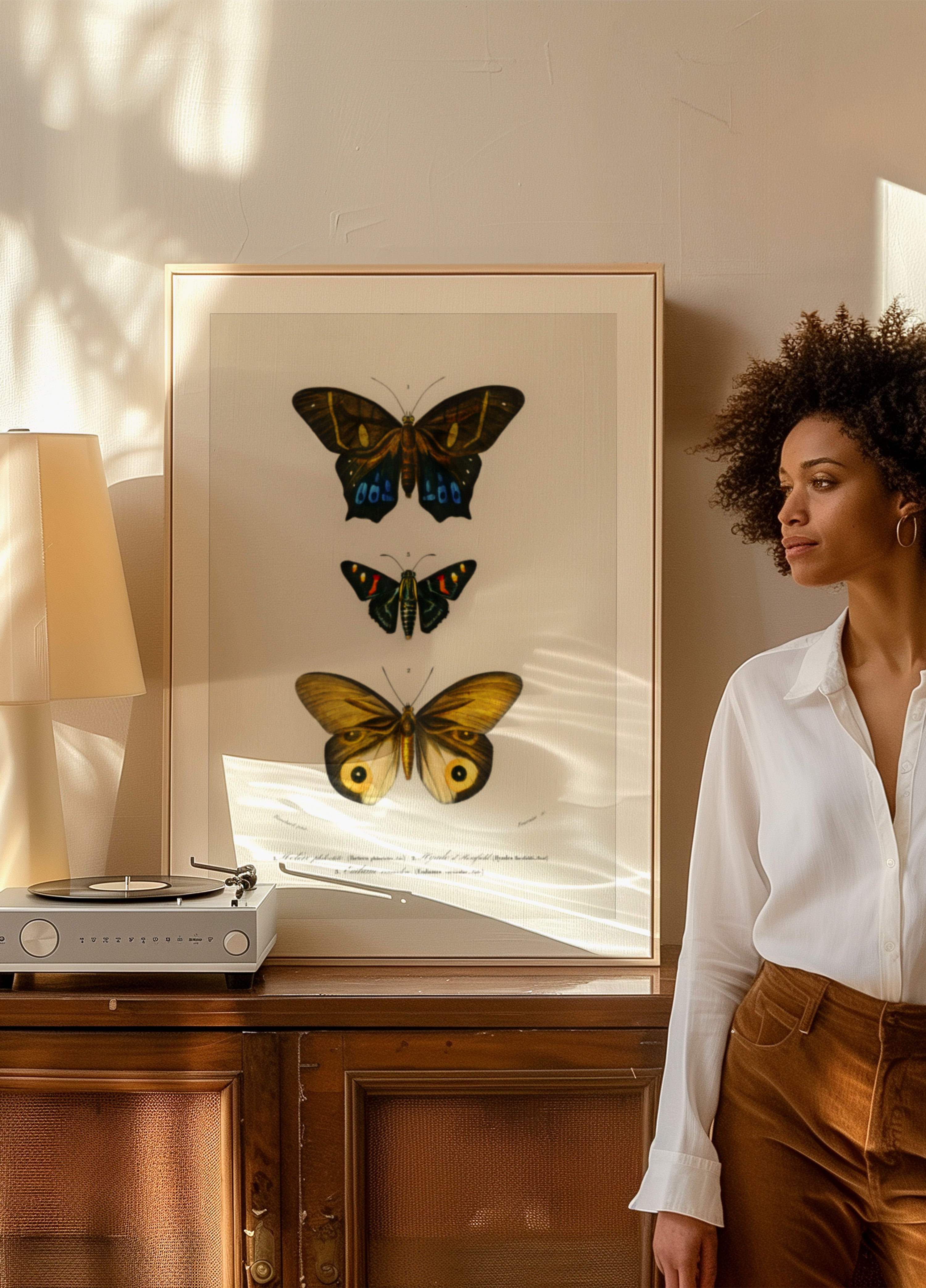 Different Types of Butterflies III