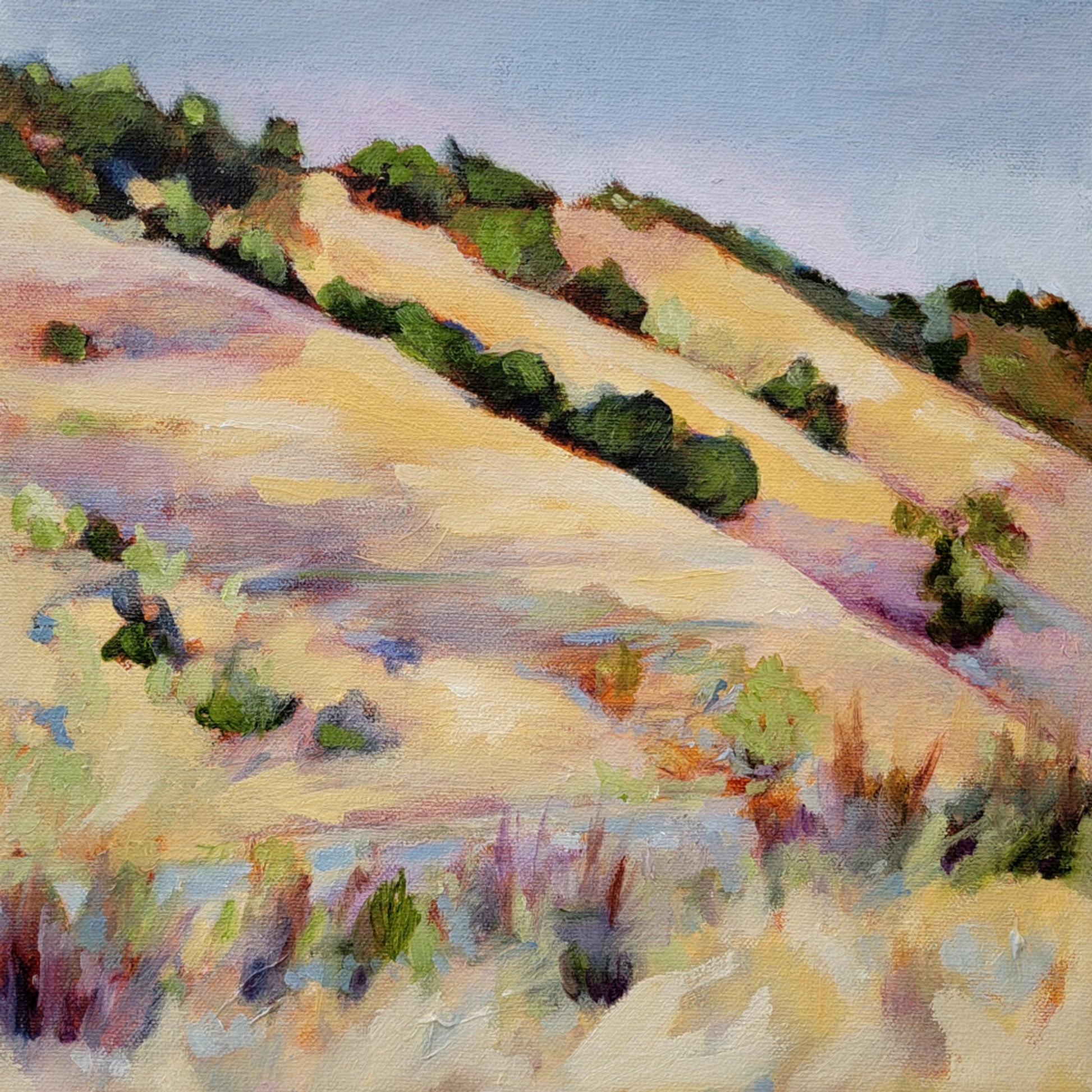 Golden Summer Hills