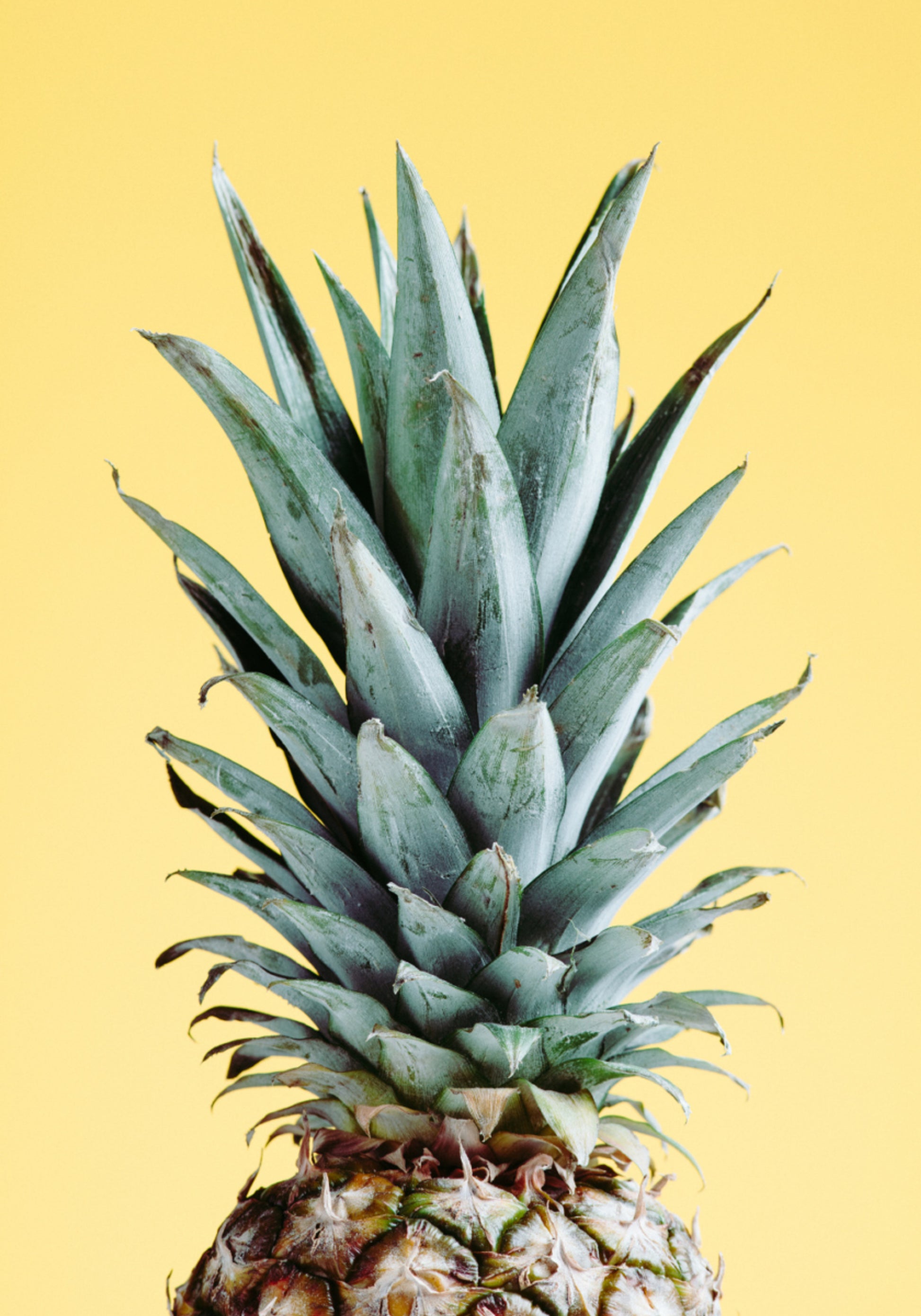 Tropical Pineapple Yellow