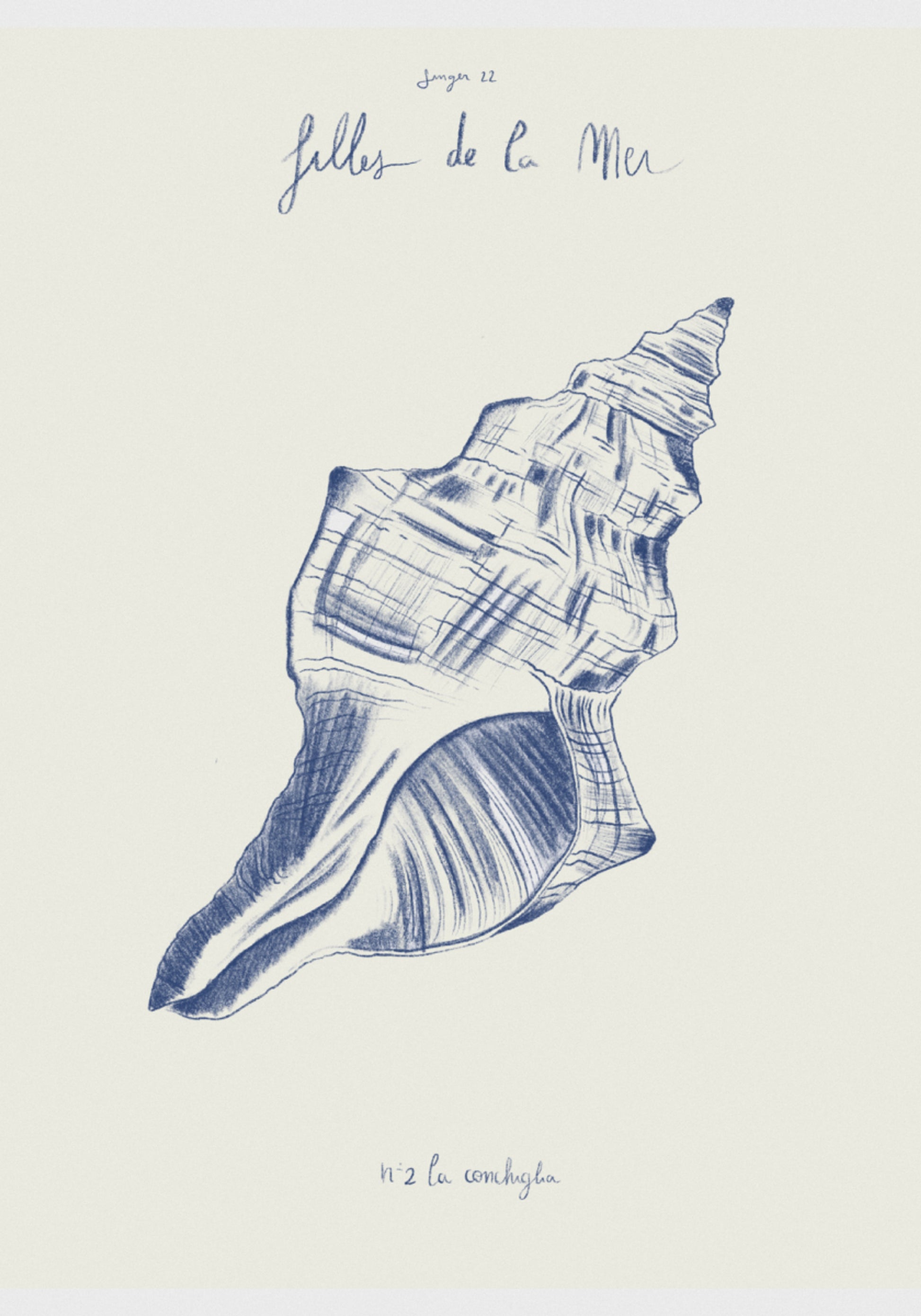 Coastal Seashell Study
