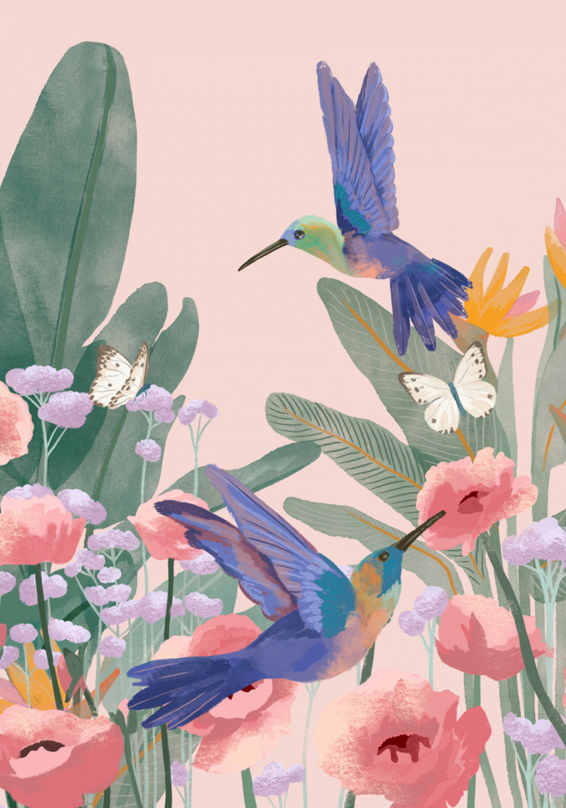Hummingbirds
