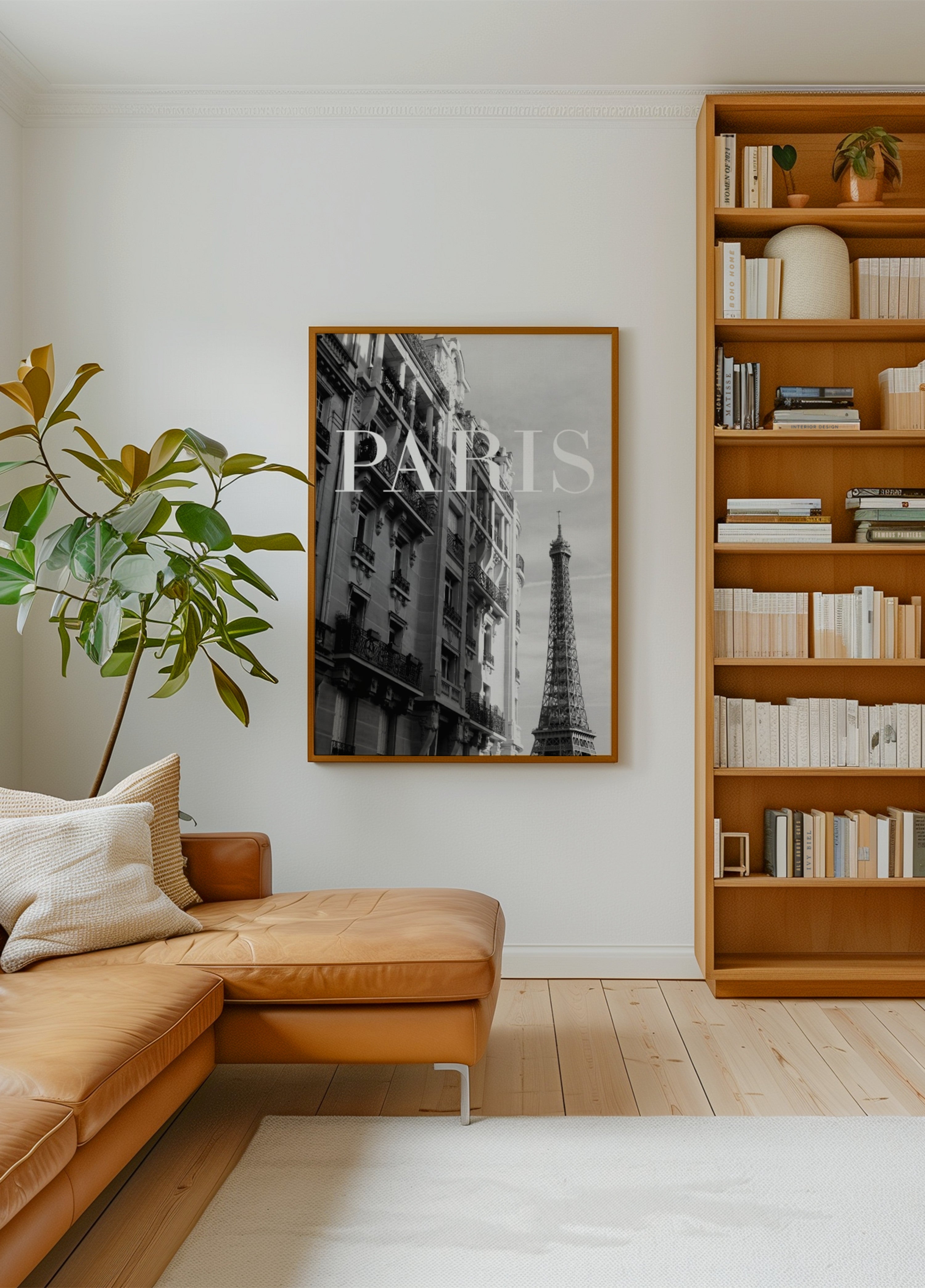 Classic Paris Architecture