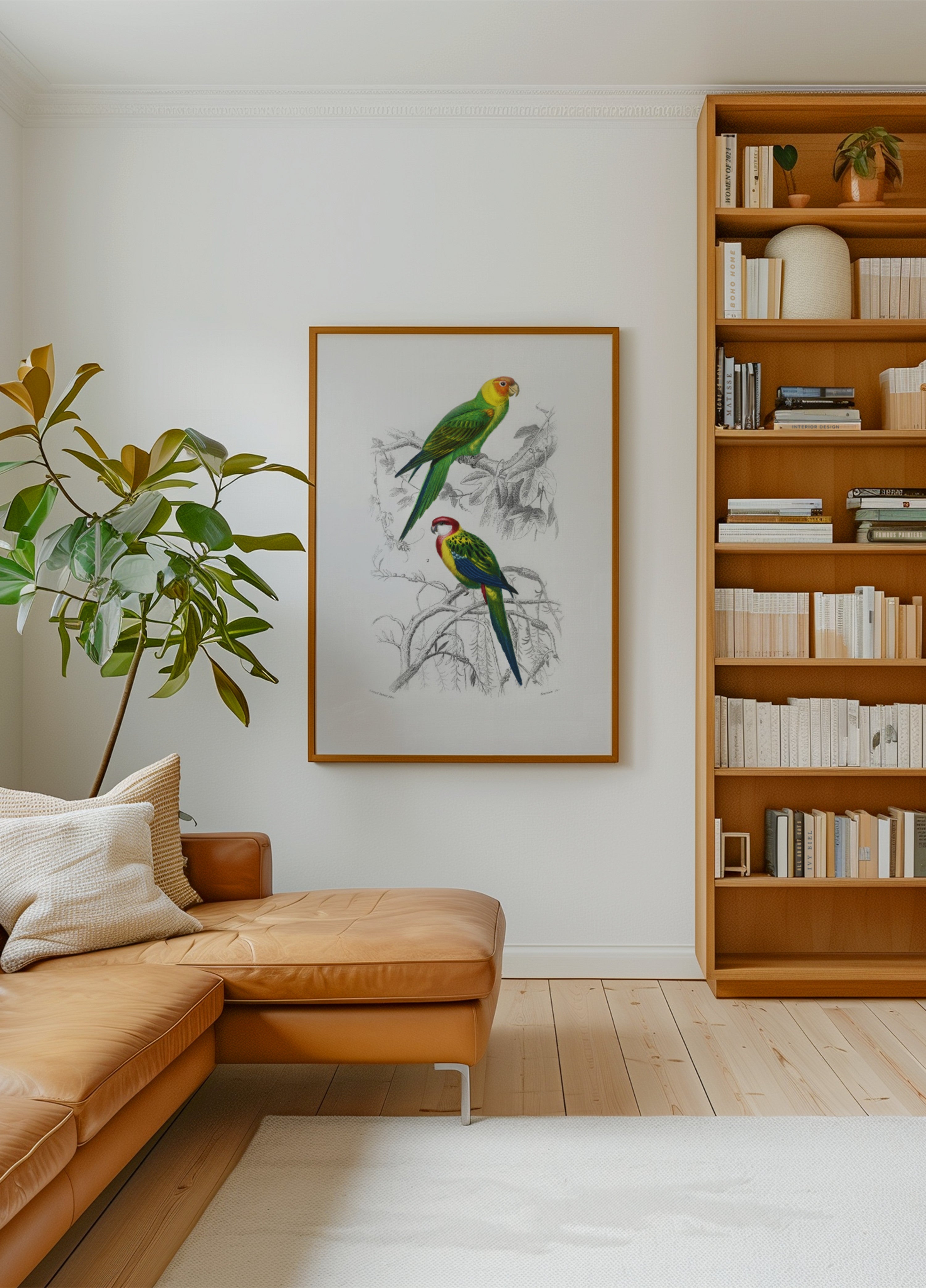 Birds