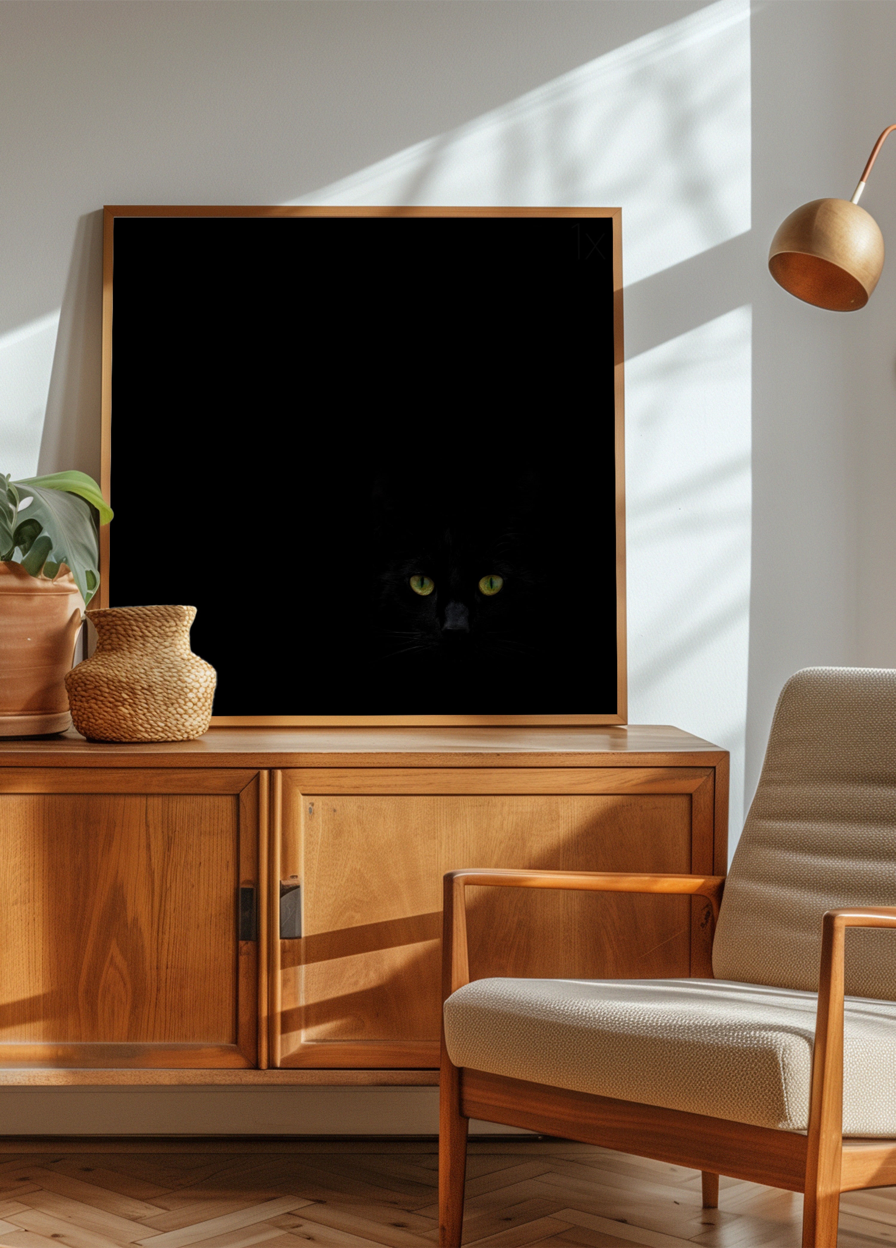 Black Cat's Gaze