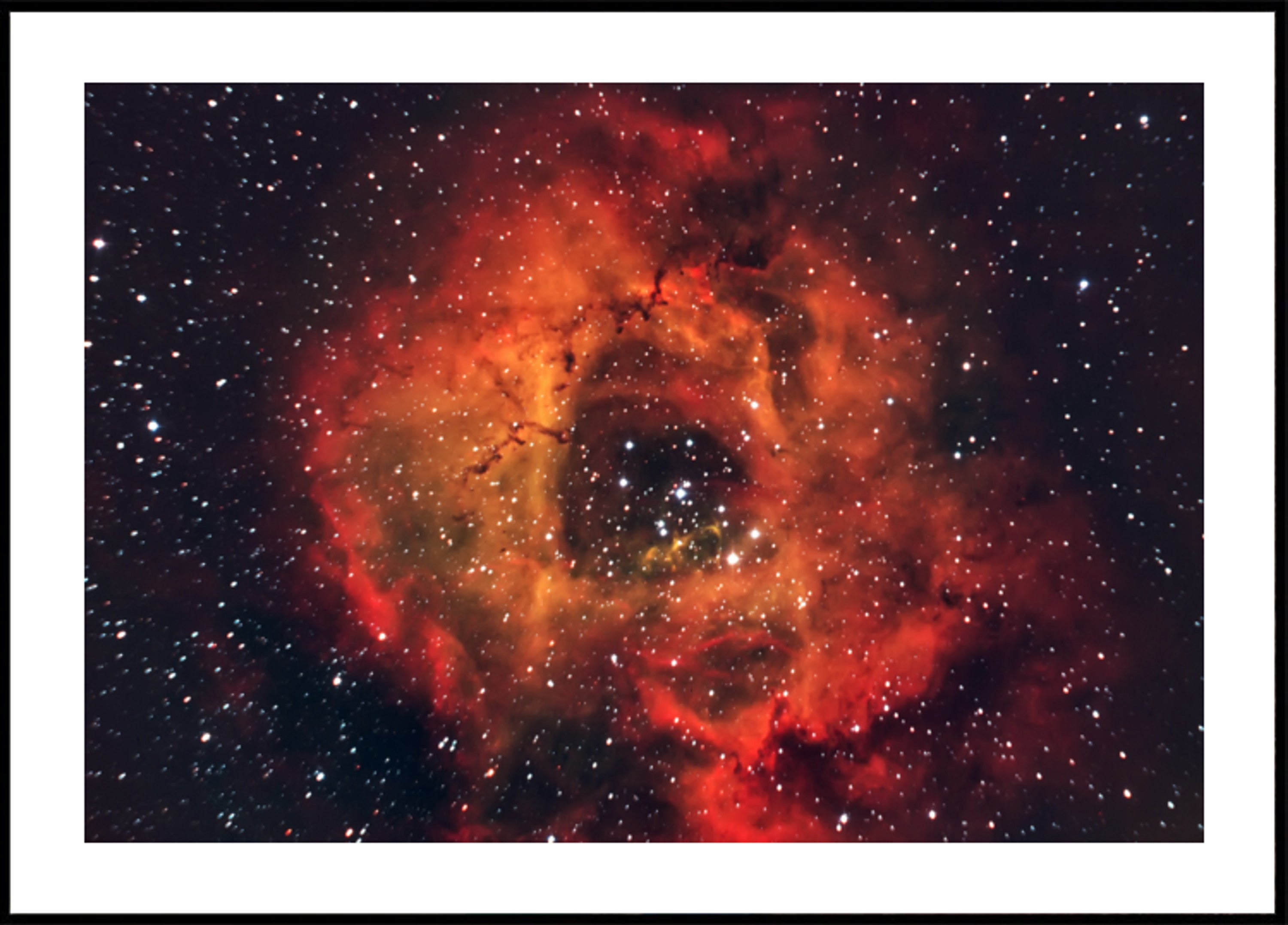 Cosmic Rose Nebula