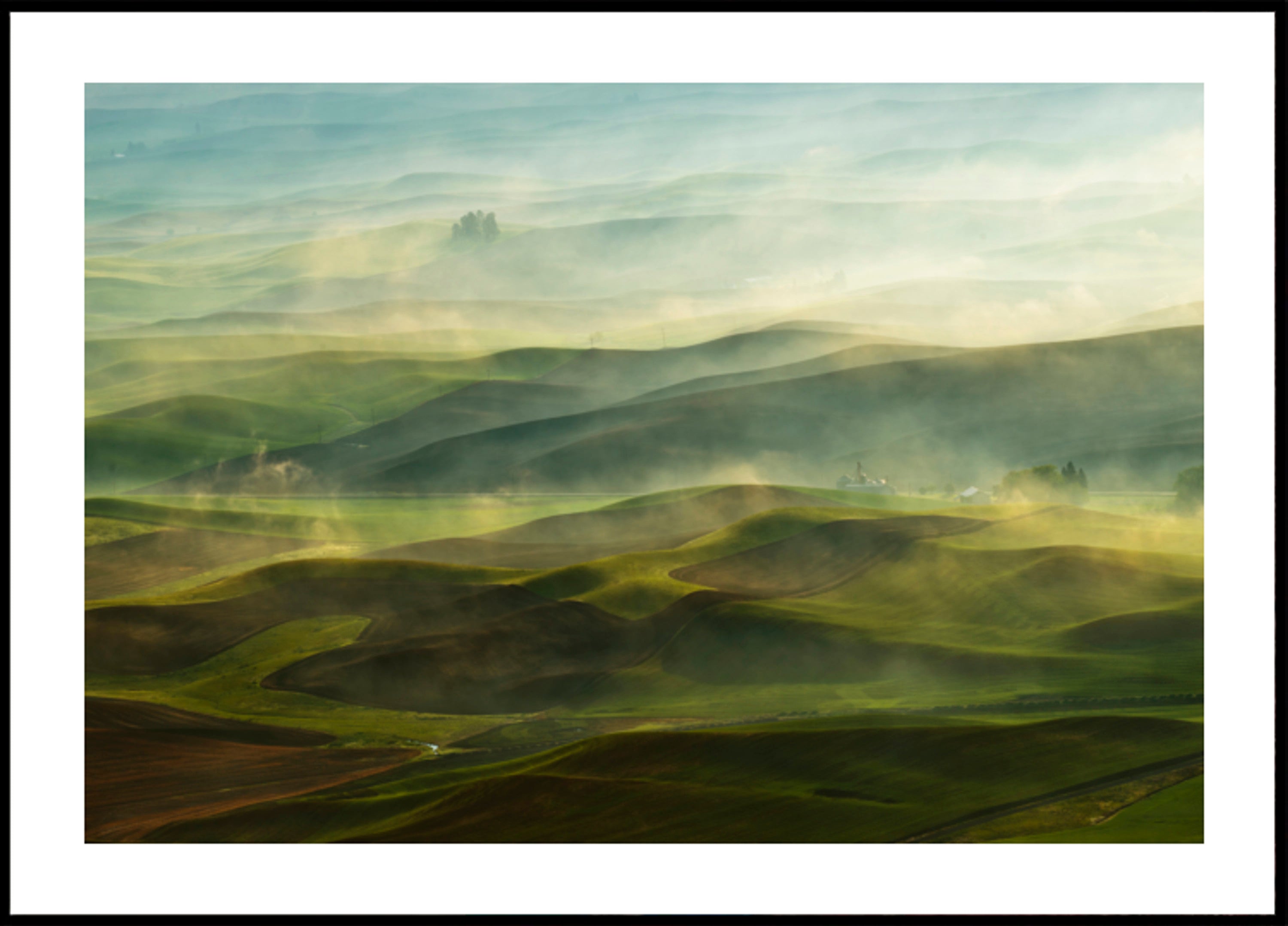 Golden Morning Hills