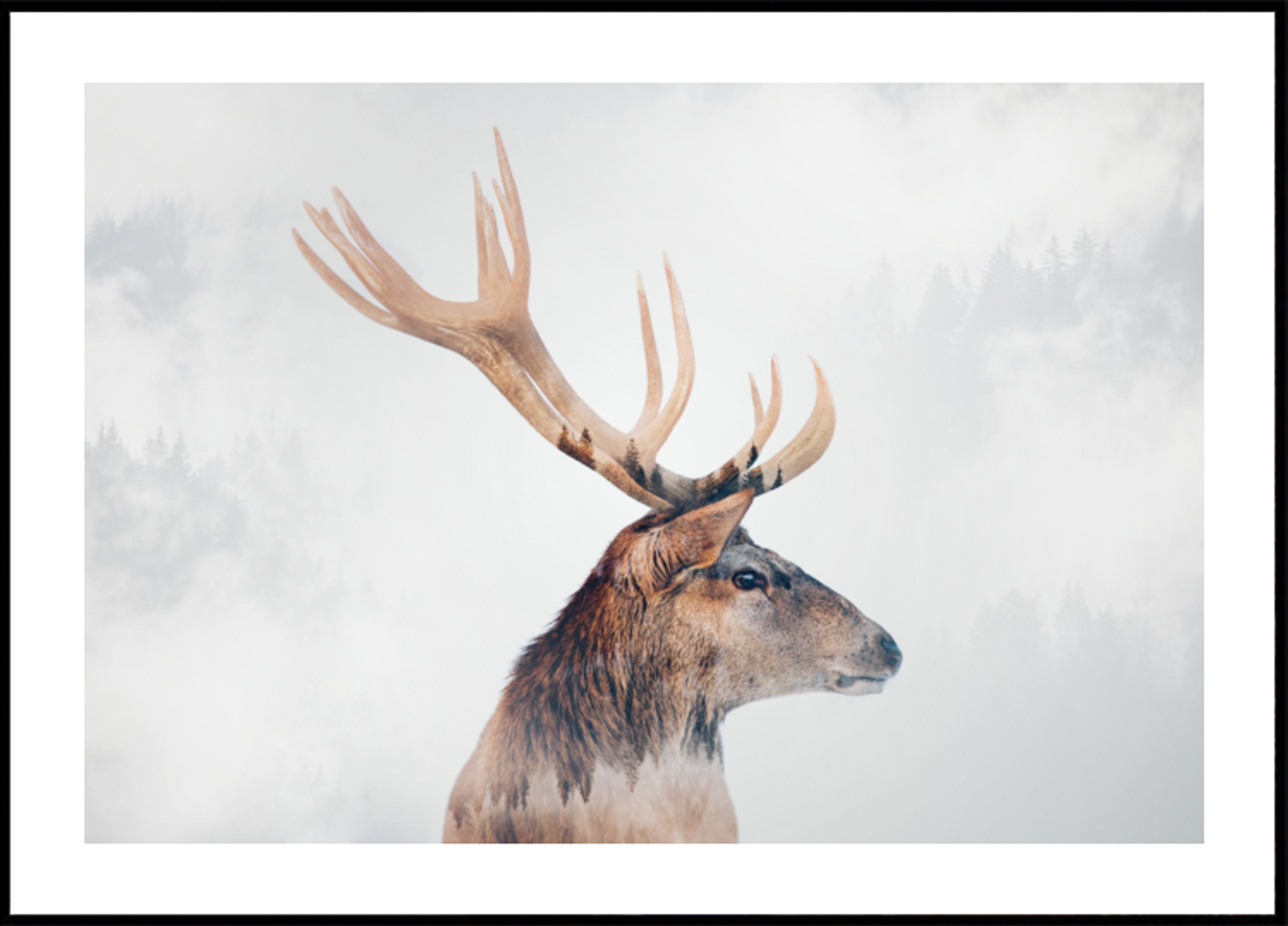 Misty Forest Stag