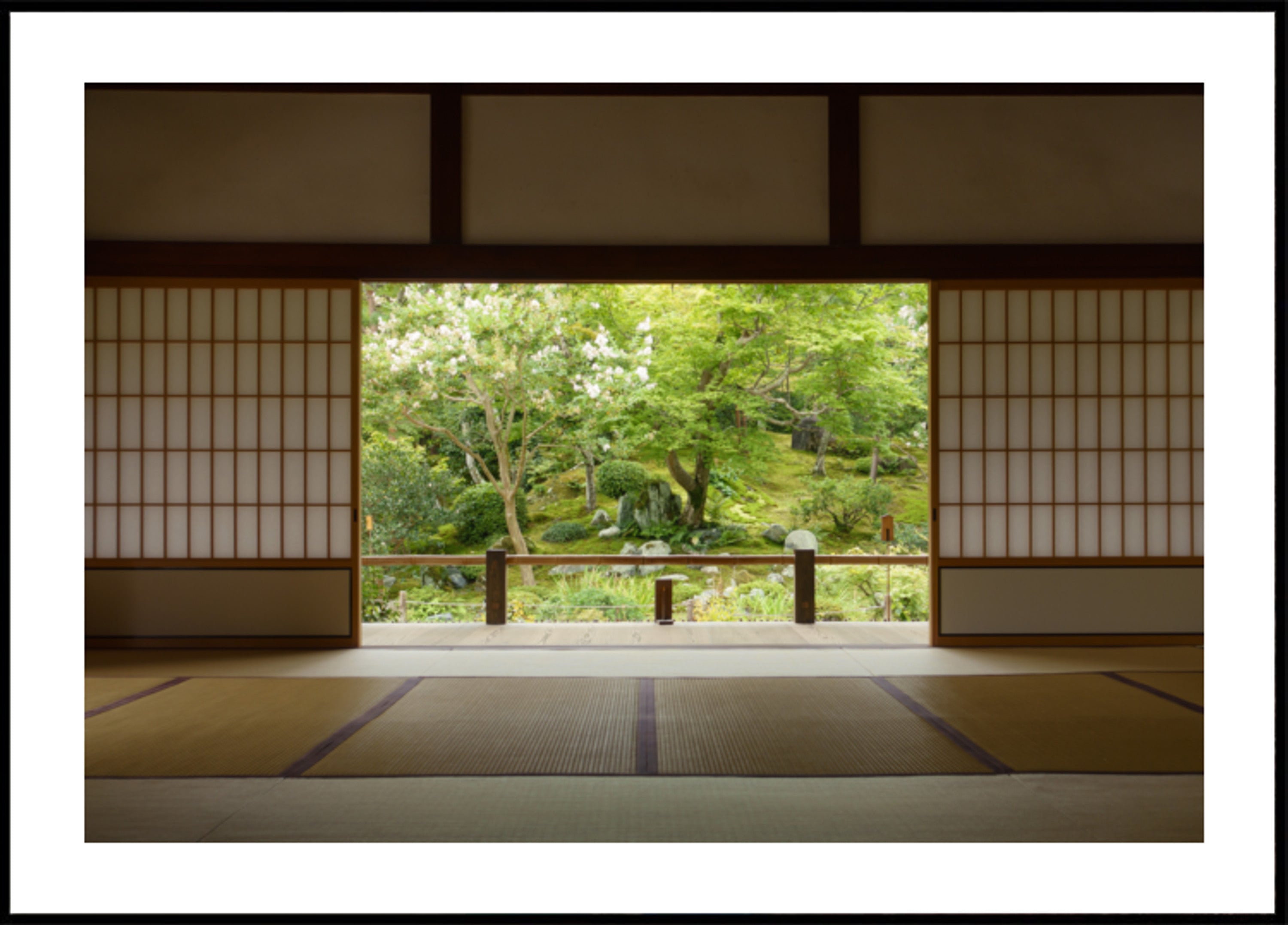 Zen Garden View
