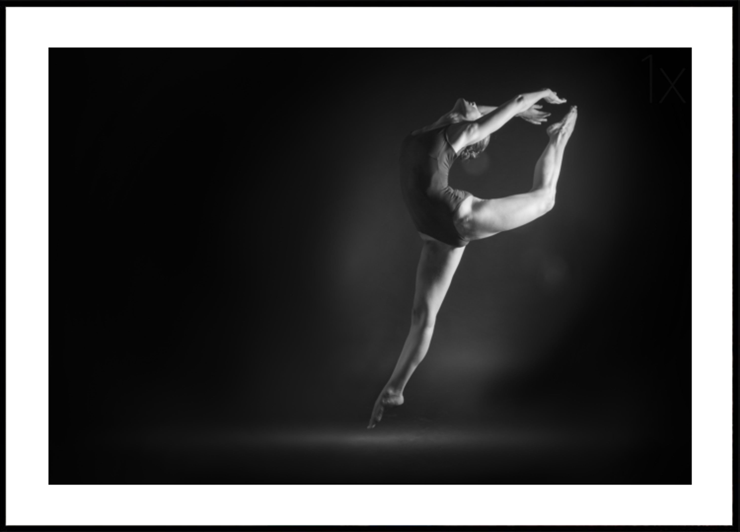 Graceful Ballet Pose