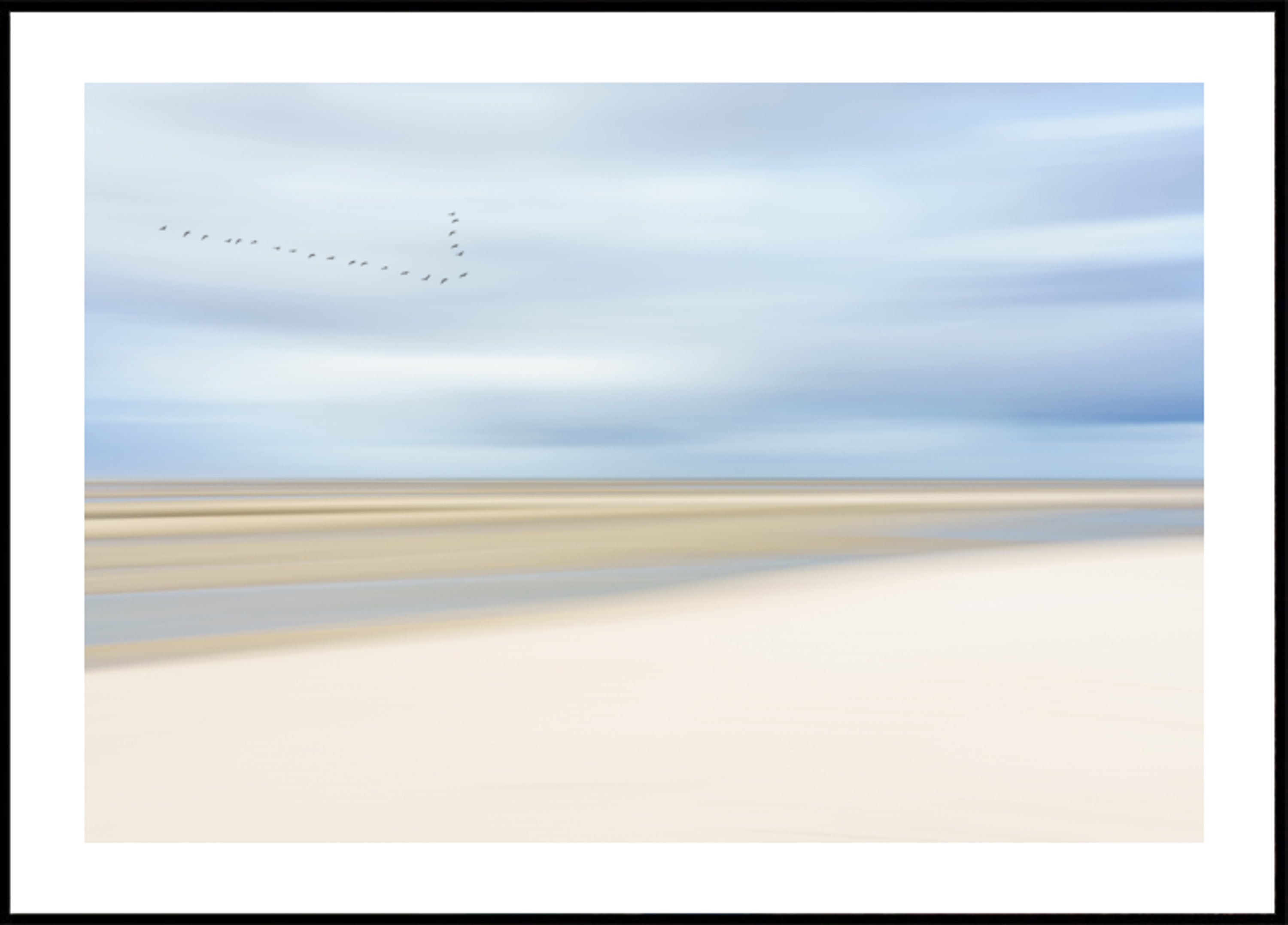 Birds Over Serene Shore