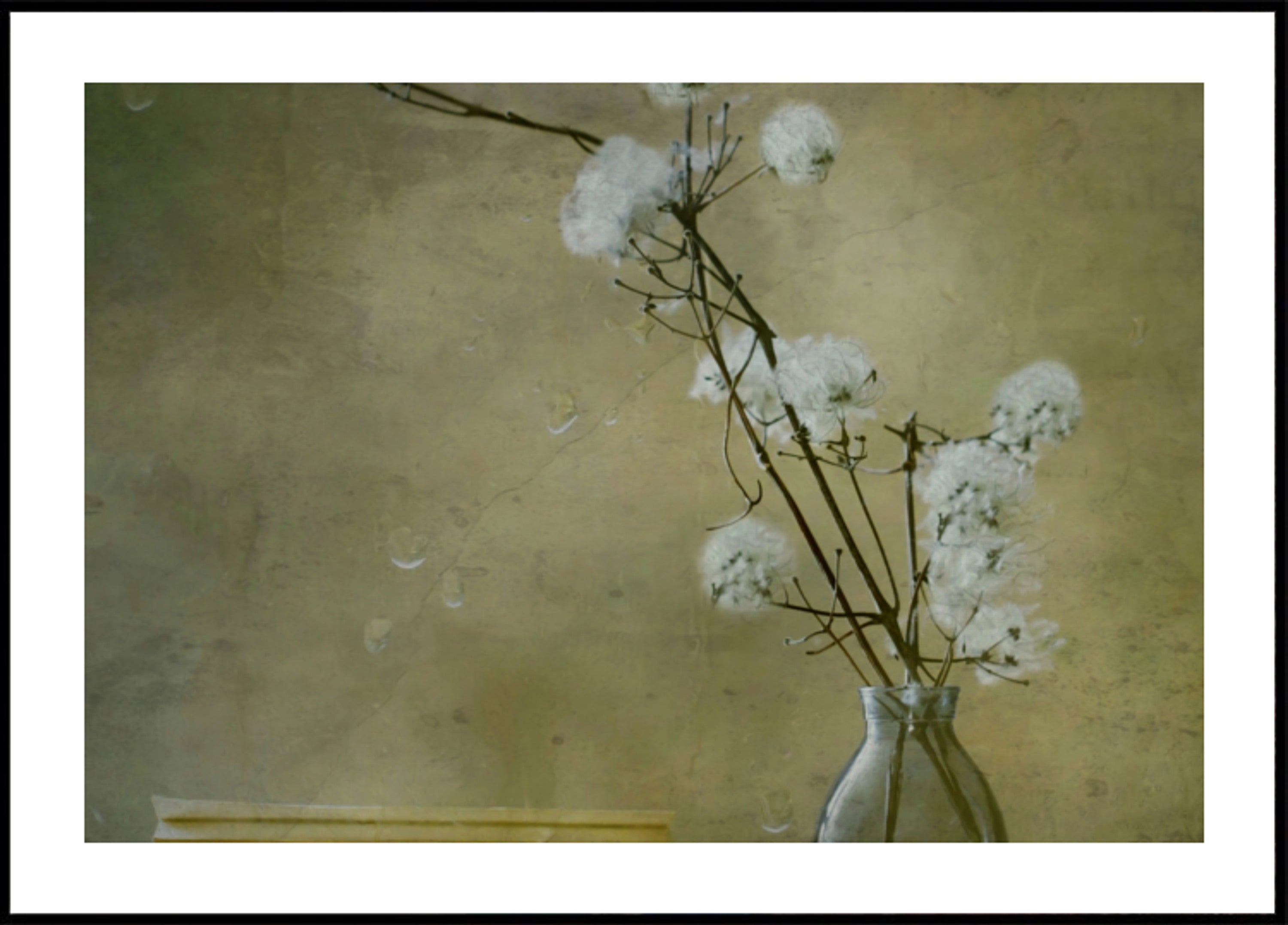 Serene Fluffy Flowers