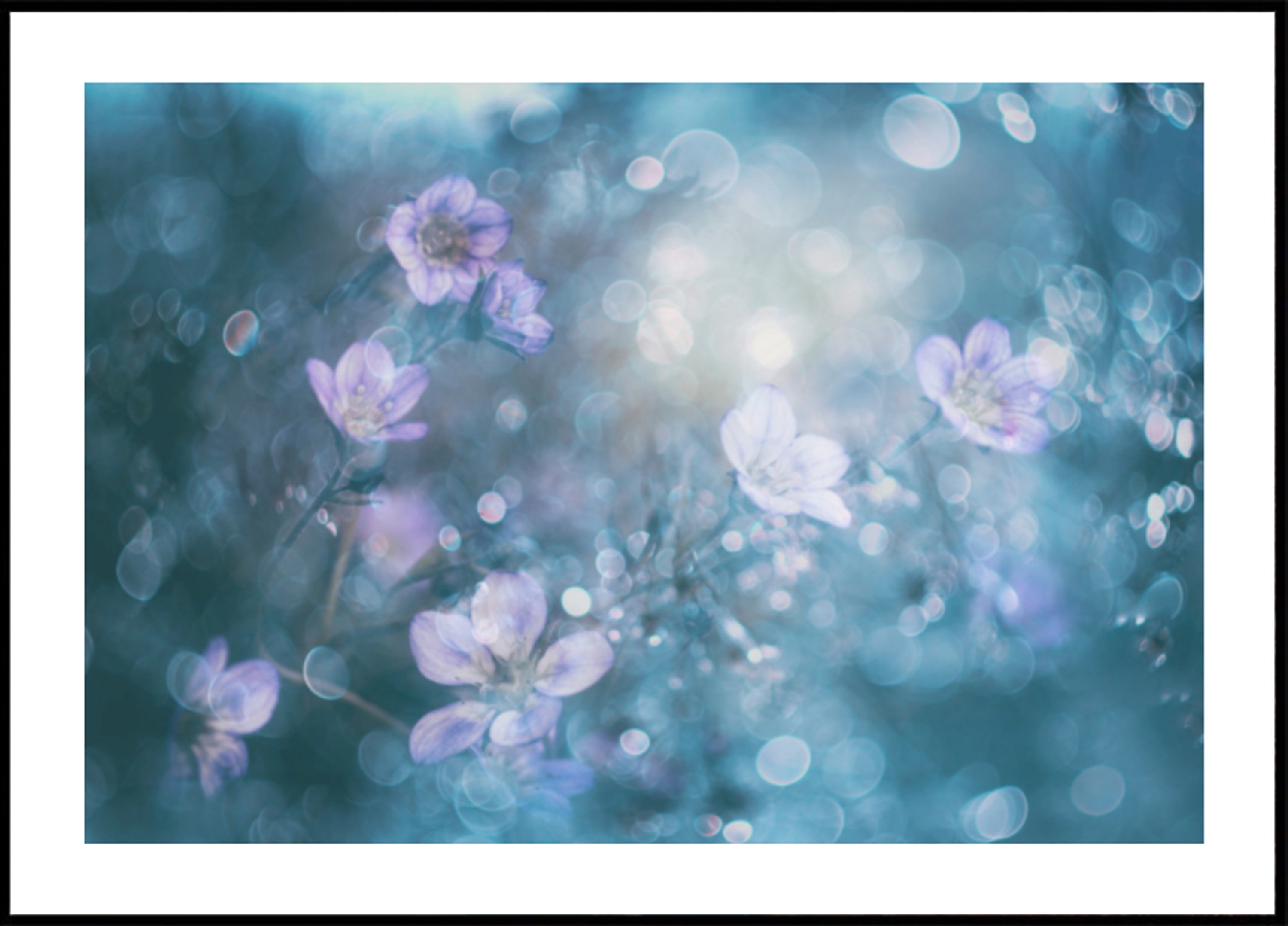 Dreamy Bokeh Flowers
