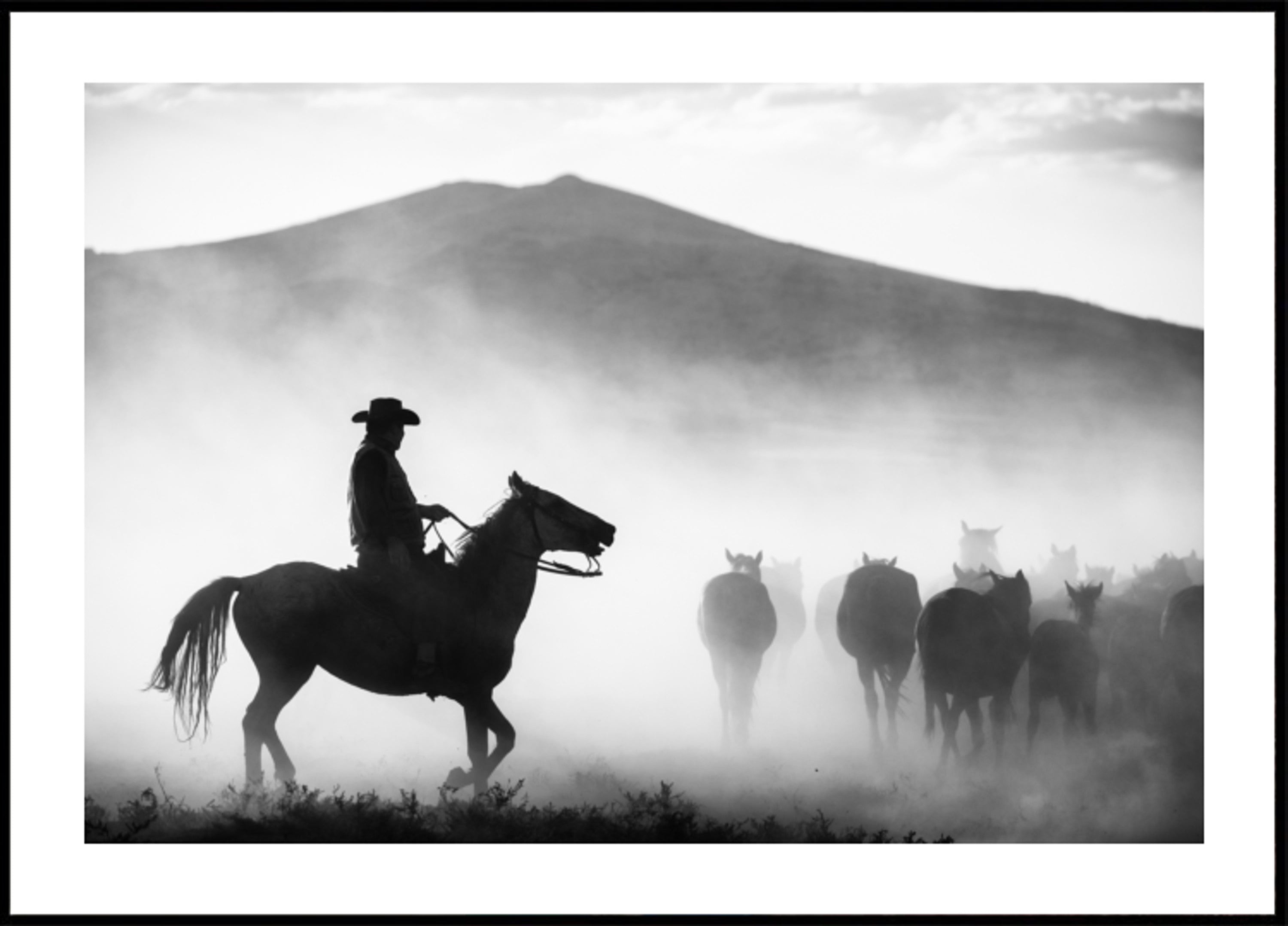 Cowboy Herding Horses