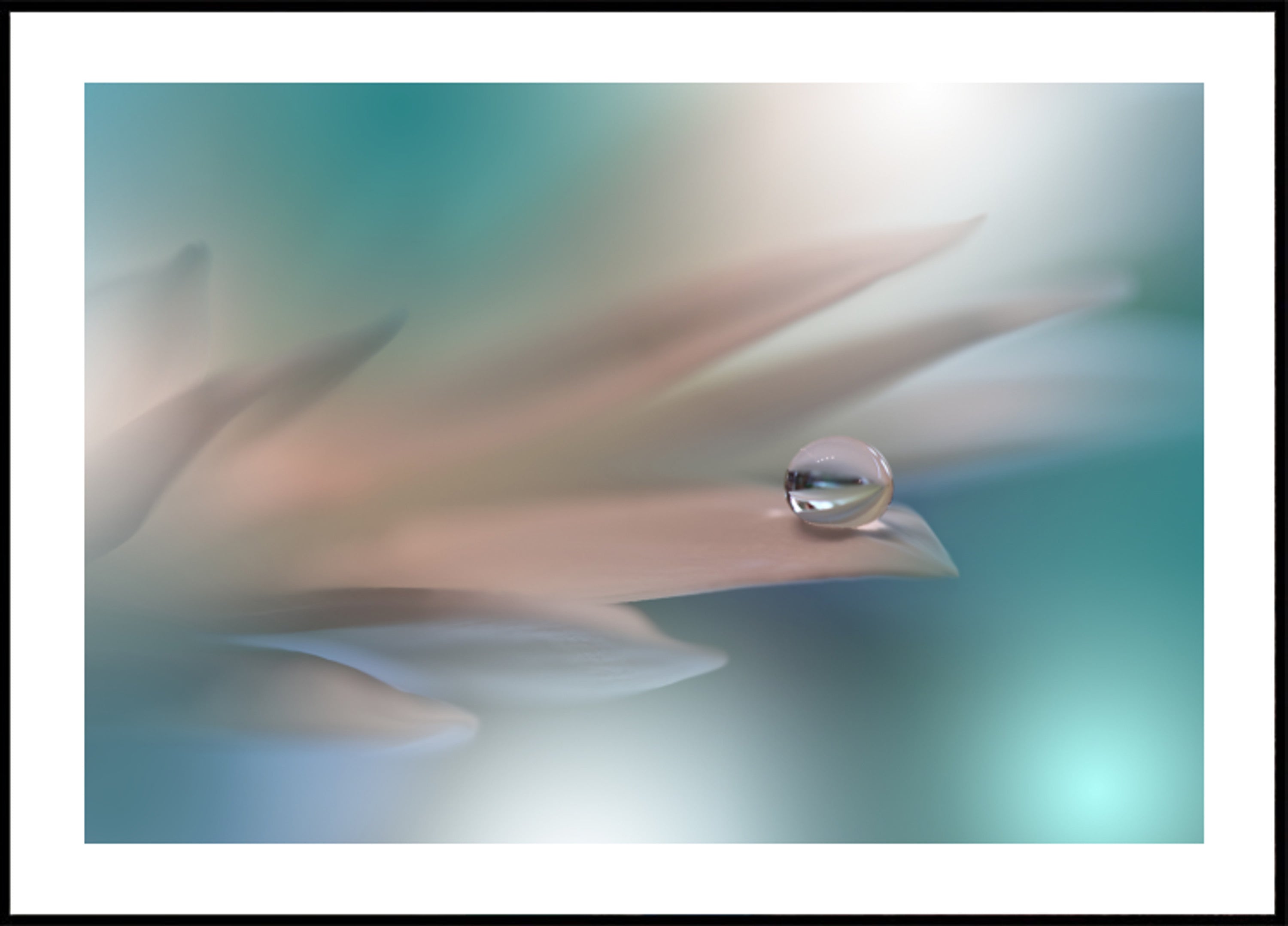 Delicate Water Droplet