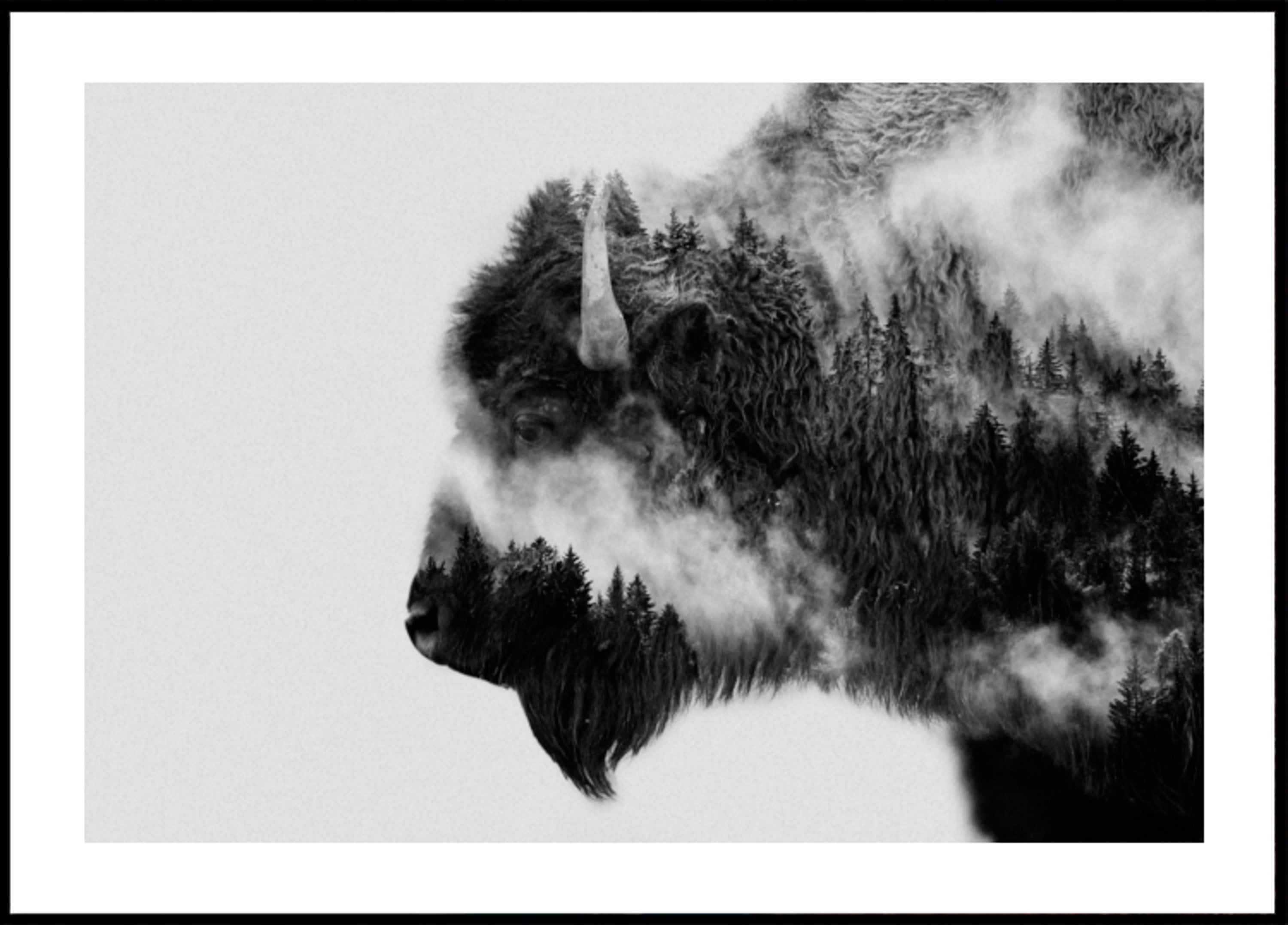 Forest Bison Spirit