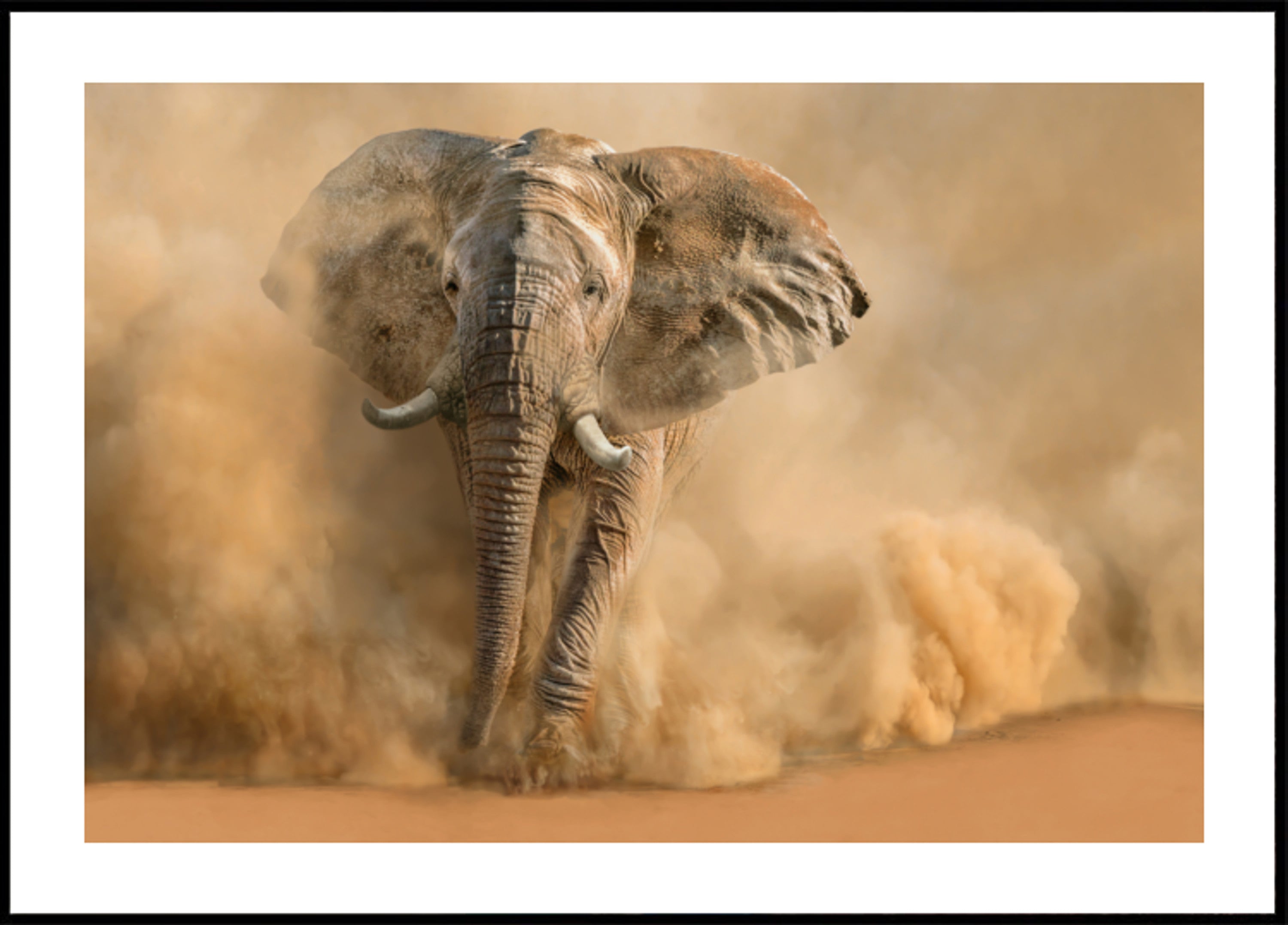 Majestic Elephant Dust Cloud