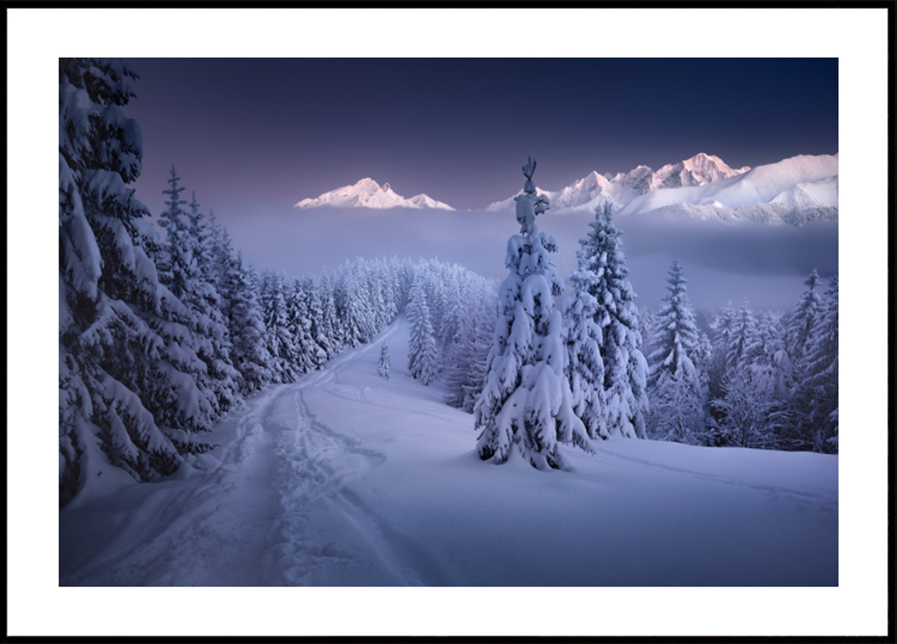 Winter Forest Mountain Path